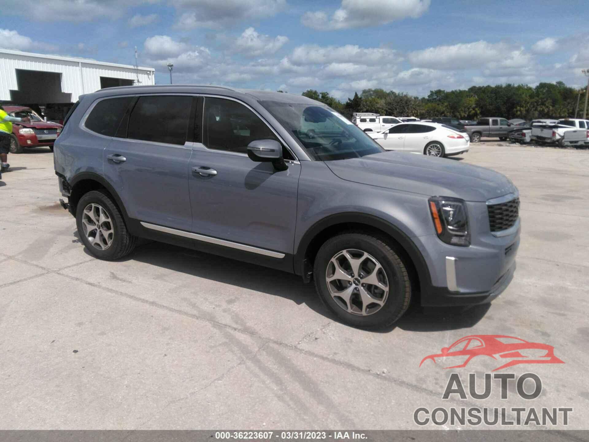 KIA TELLURIDE 2022 - 5XYP3DHC0NG320464