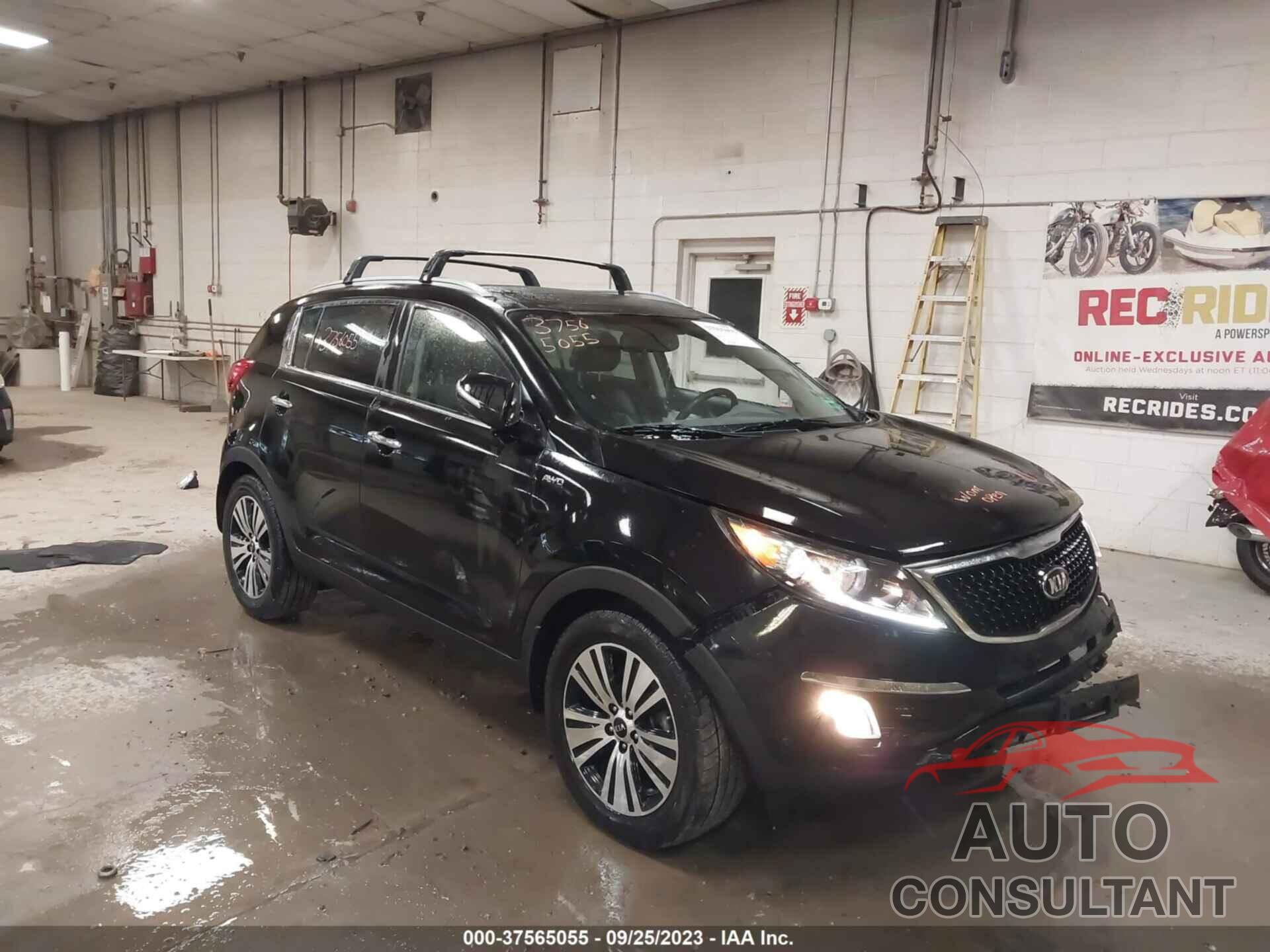 KIA SPORTAGE 2016 - KNDPCCAC9G7863316