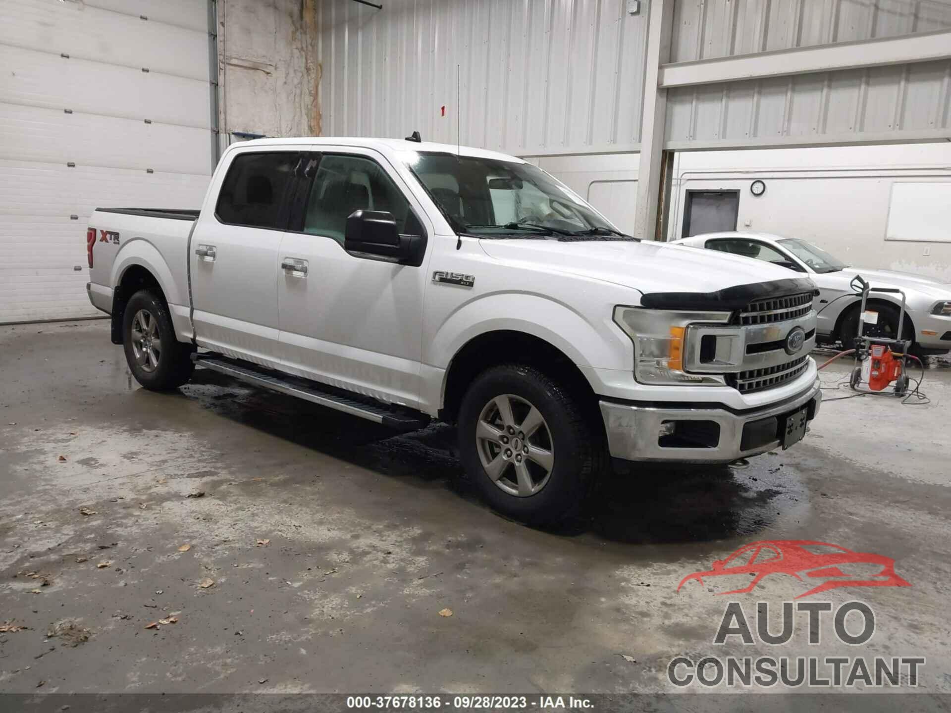 FORD F-150 2019 - 1FTEW1E5XKKD78297