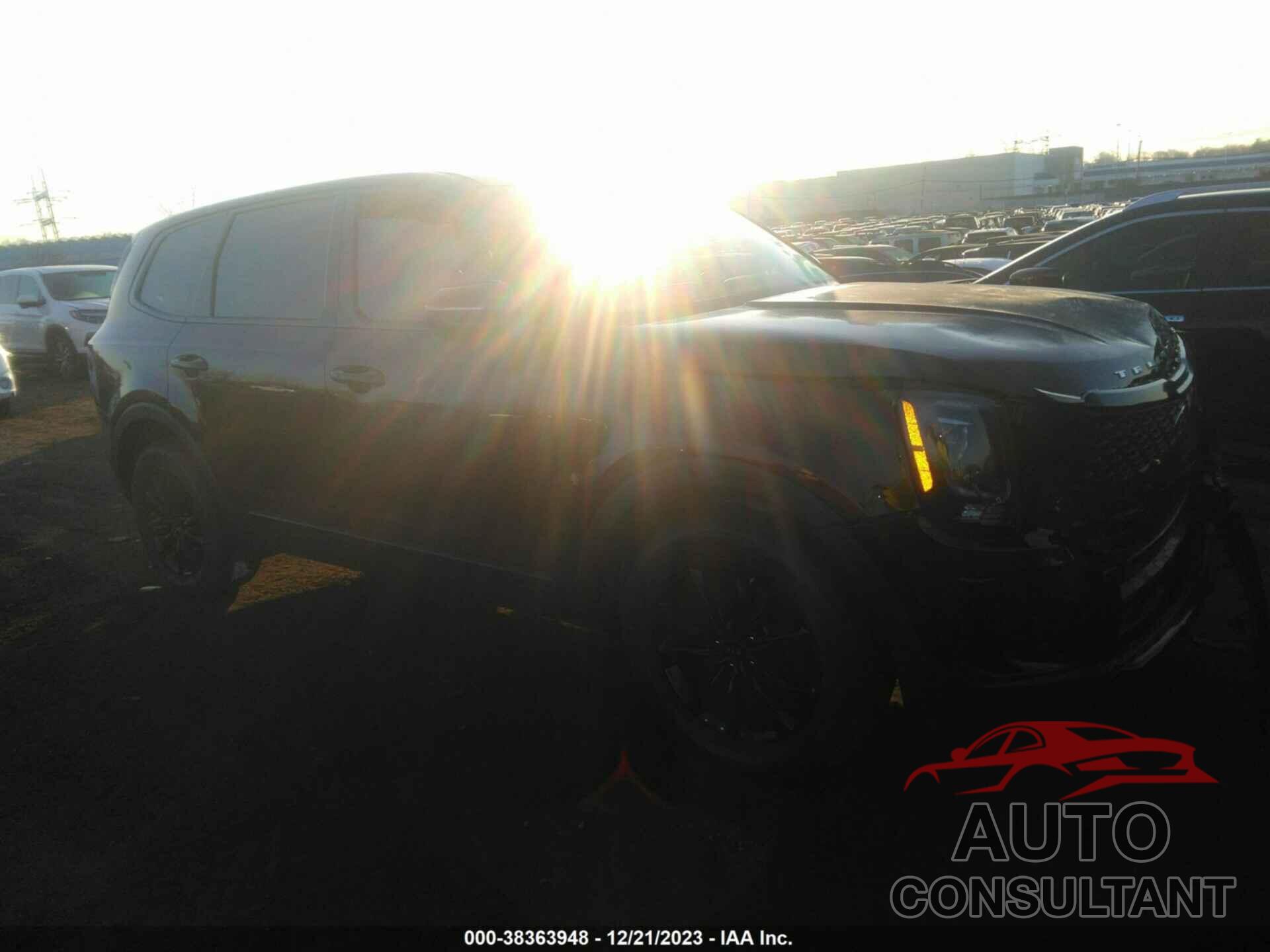 KIA TELLURIDE 2020 - 5XYP2DHC1LG008265