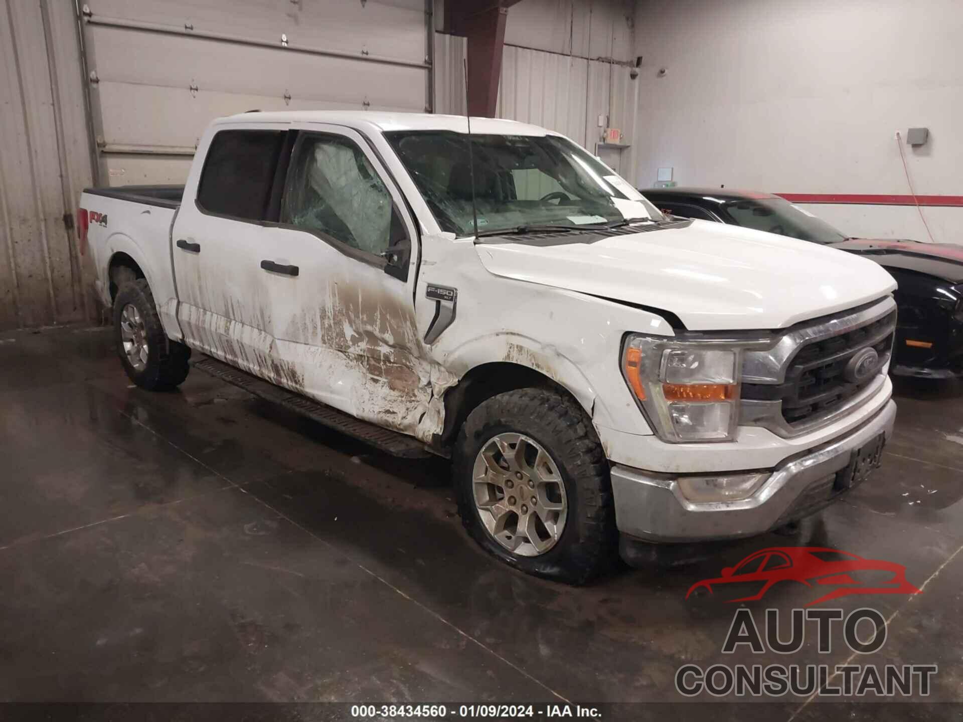 FORD F-150 2022 - 1FTFW1E81NKD83505