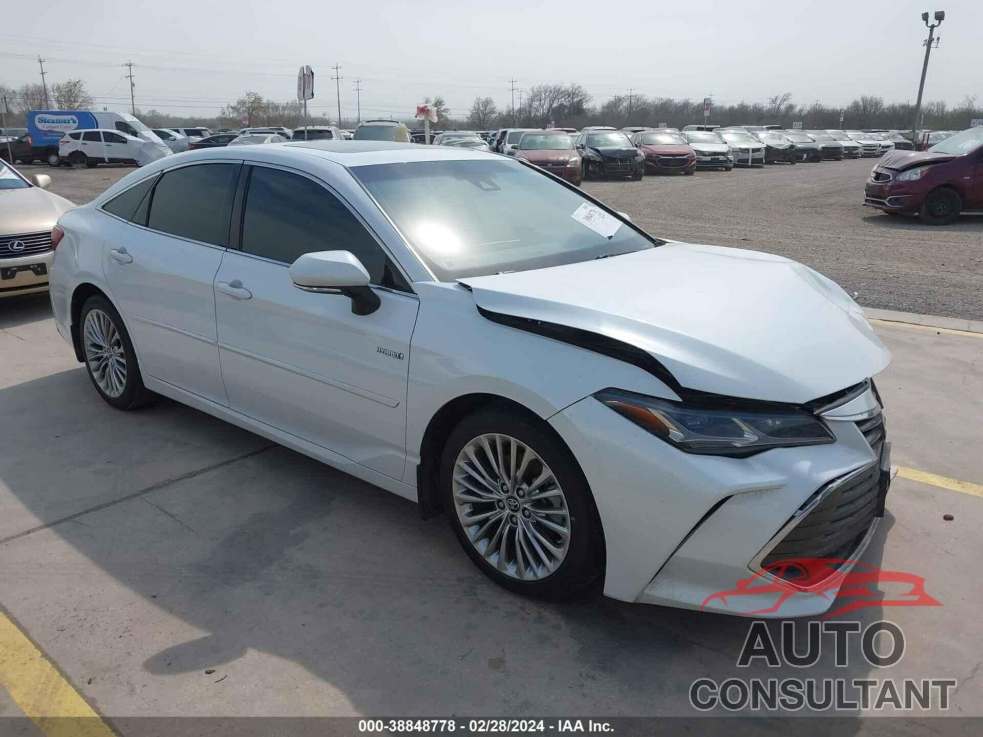 TOYOTA AVALON 2019 - 4T1B21FB6KU006619