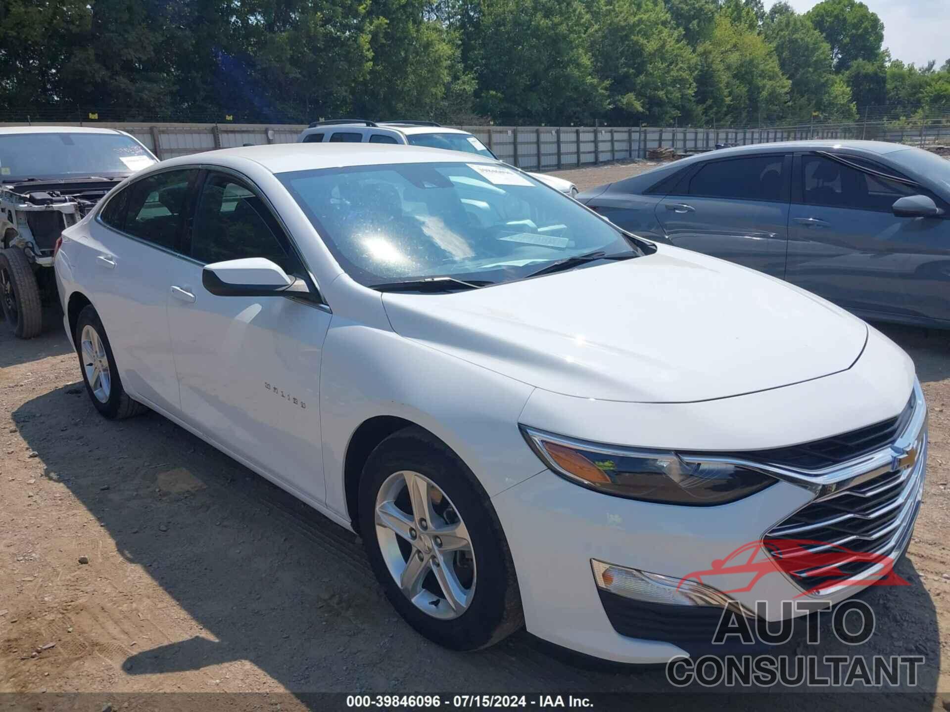 CHEVROLET MALIBU 2019 - 1G1ZC5ST8KF179951