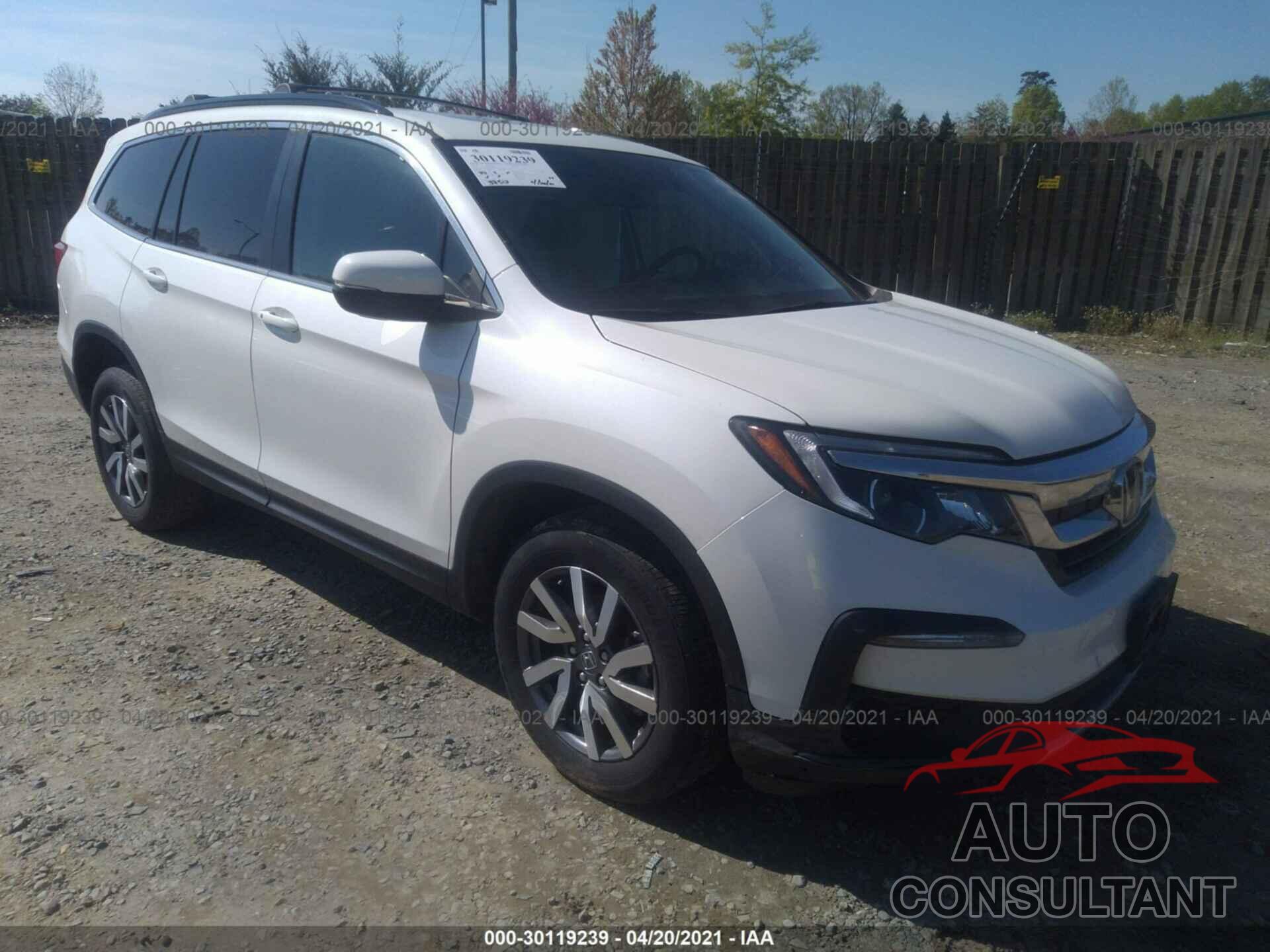 HONDA PILOT 2019 - 5FNYF6H51KB051967