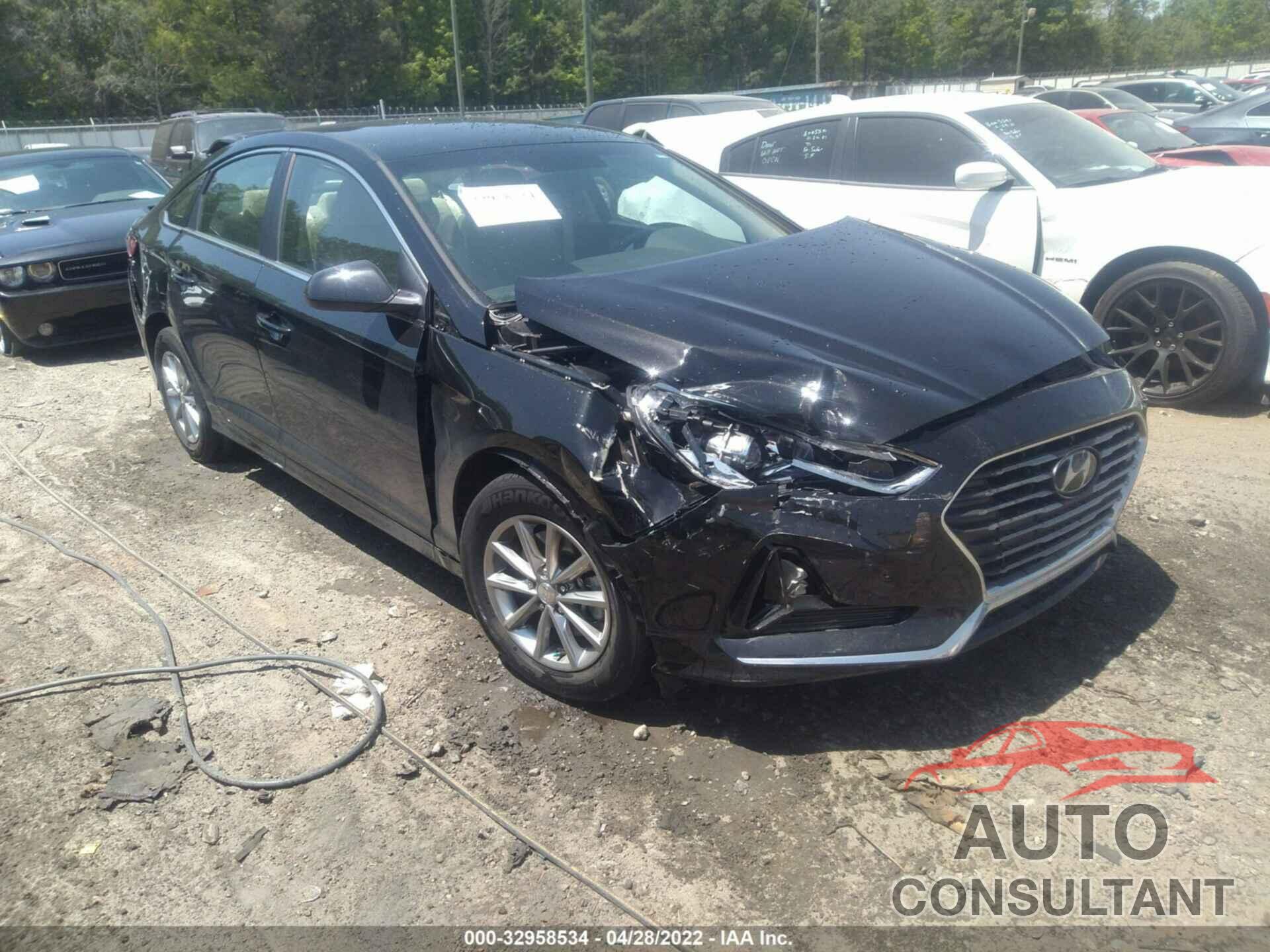 HYUNDAI SONATA 2019 - 5NPE24AF0KH780002