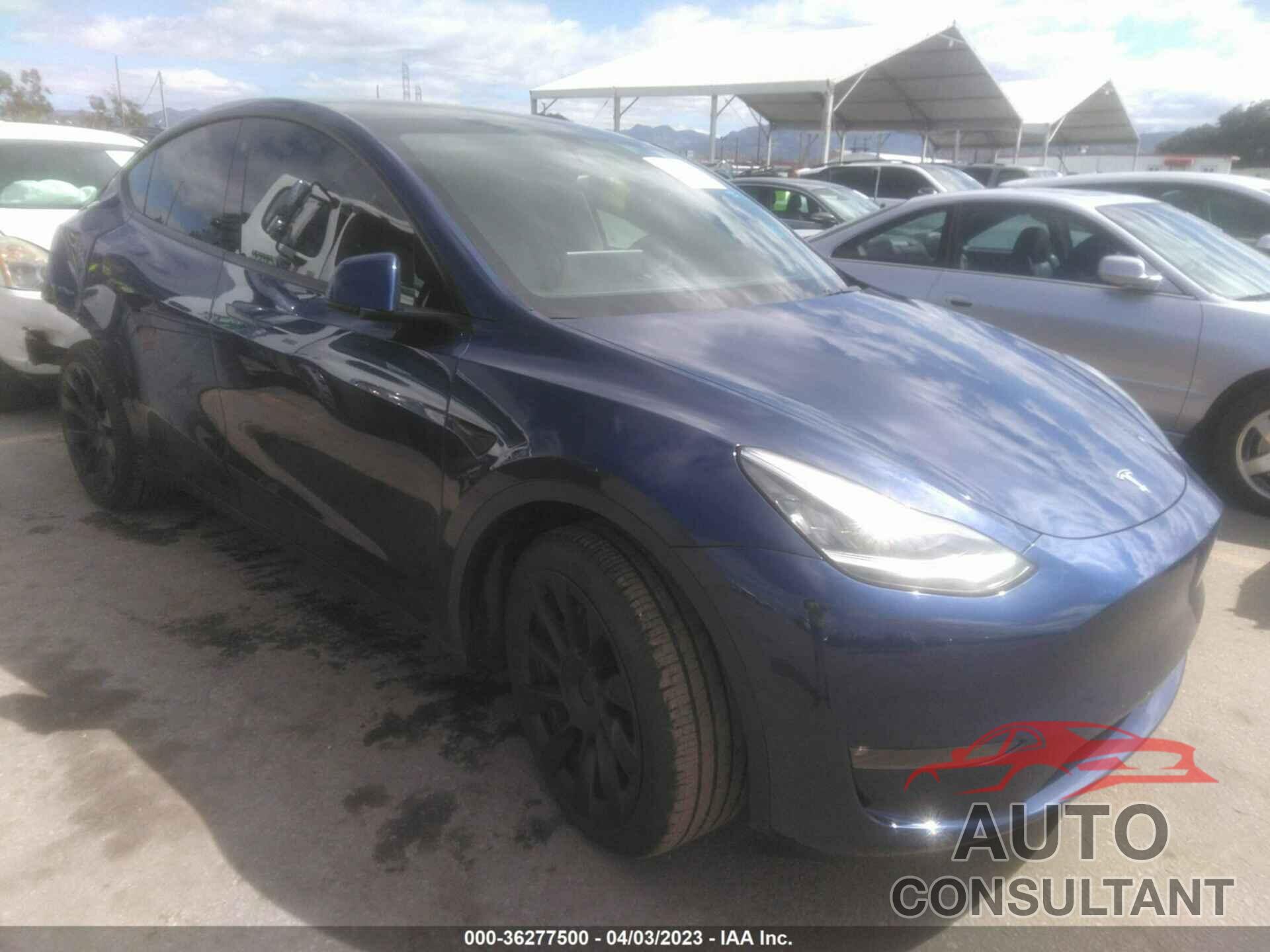 TESLA MODEL Y 2022 - 7SAYGDEE5NF511399