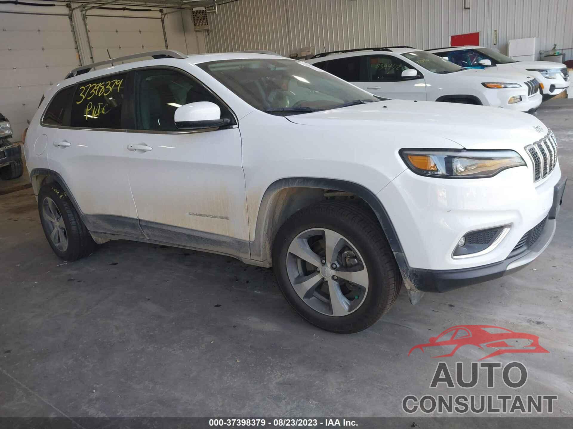 JEEP CHEROKEE 2019 - 1C4PJMDX1KD456675