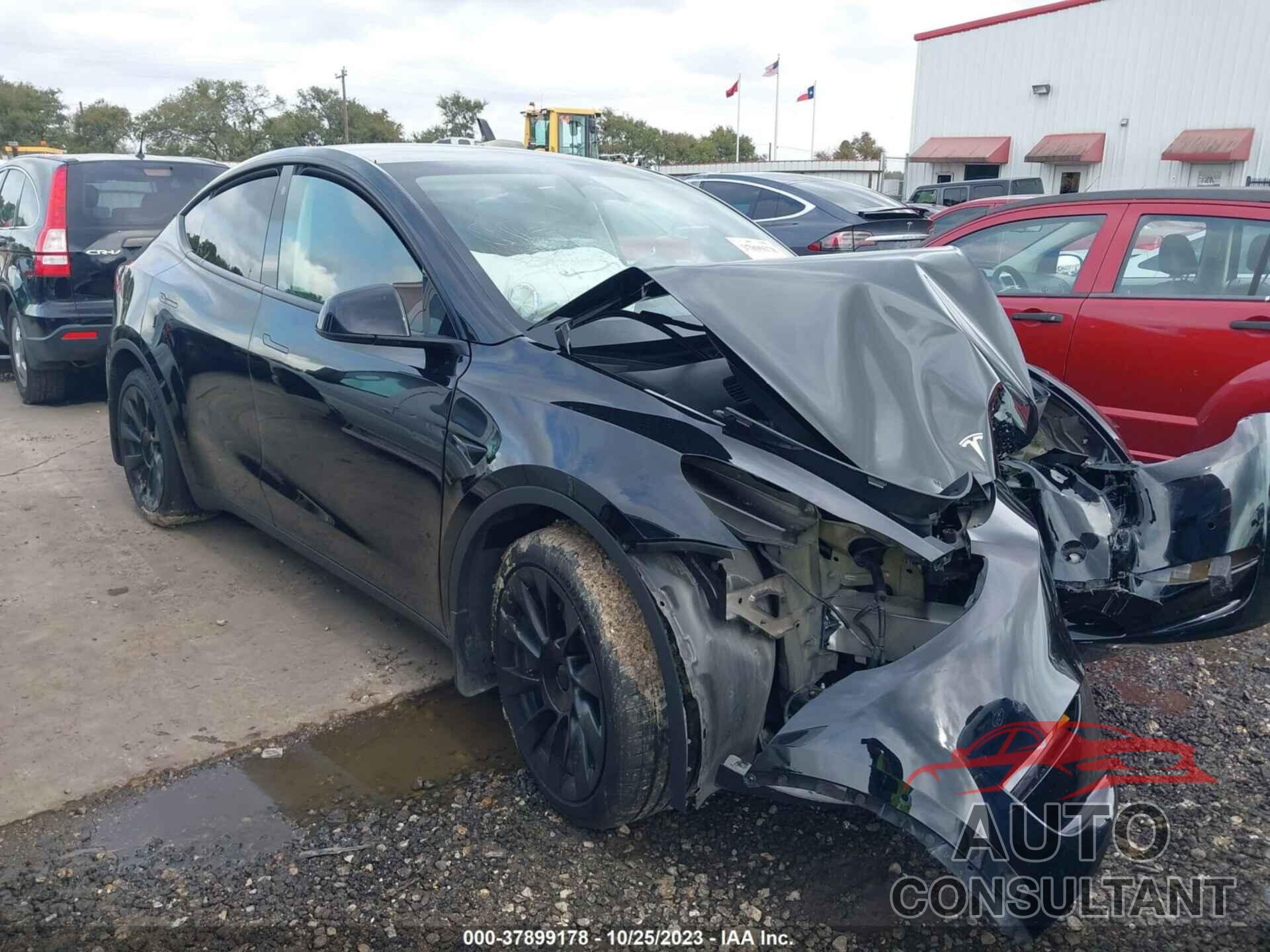 TESLA MODEL Y 2022 - 7SAYGAEE6NF467752