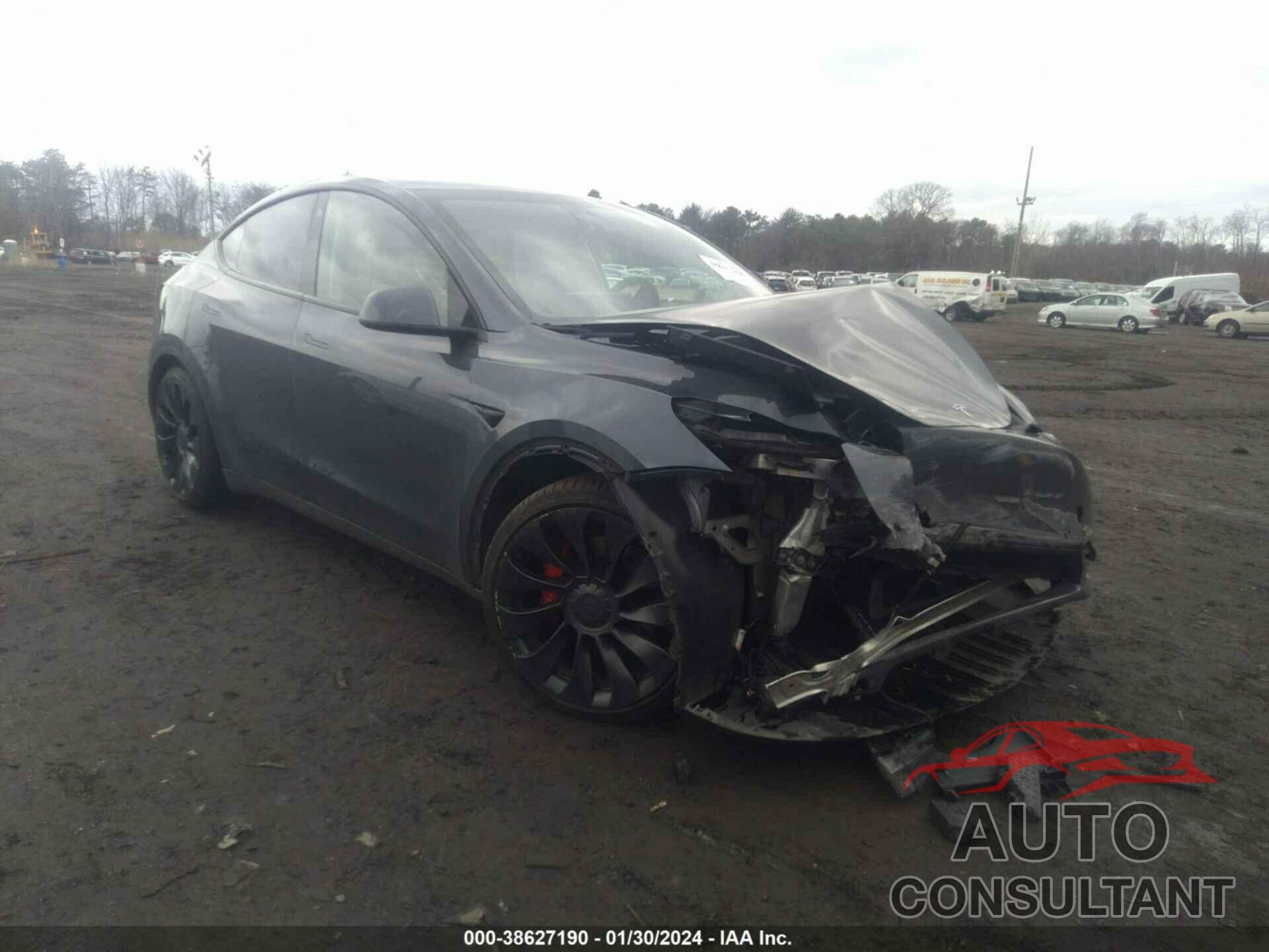 TESLA MODEL Y 2022 - 7SAYGDEF9NF501077