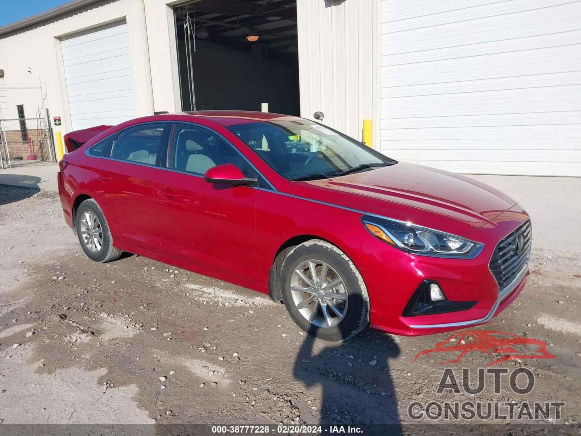 HYUNDAI SONATA 2019 - 5NPE24AF3KH805846