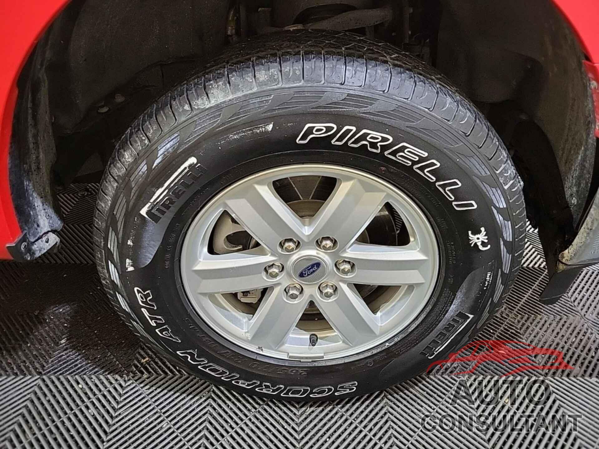 FORD F-150 2021 - 1FTFX1E87MKE96130