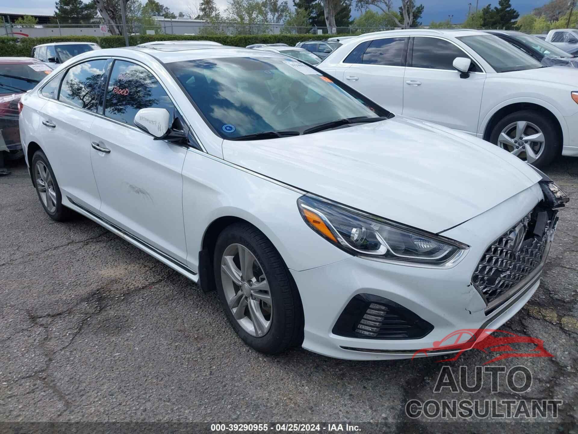 HYUNDAI SONATA 2019 - 5NPE34AF5KH789730