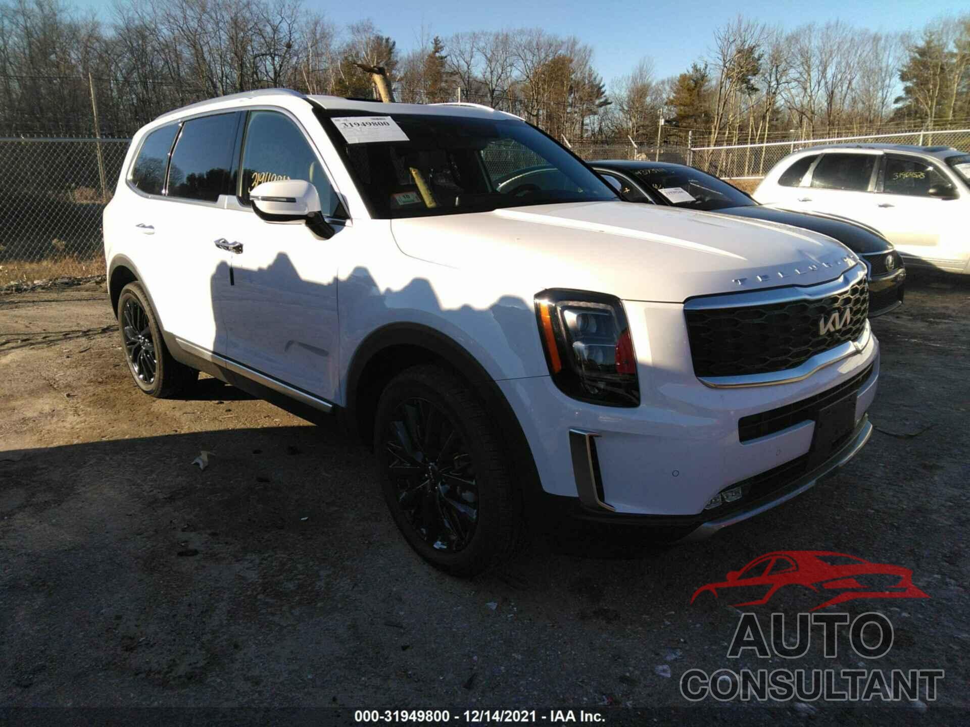 KIA TELLURIDE 2022 - 5XYP5DHC3NG217291