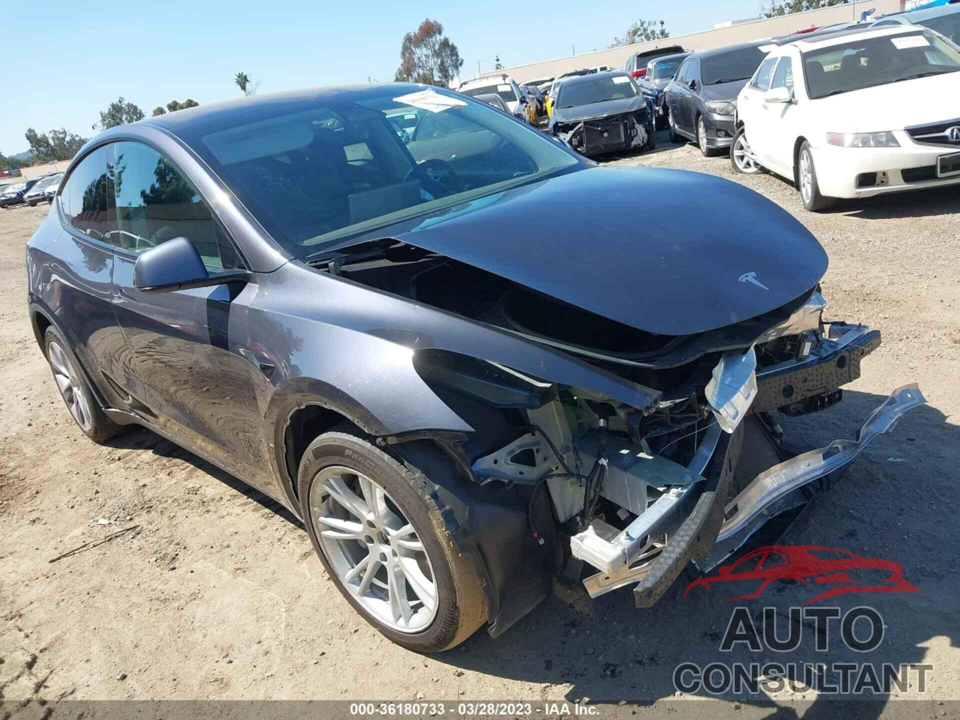 TESLA MODEL Y 2021 - 5YJYGDEE3MF299792