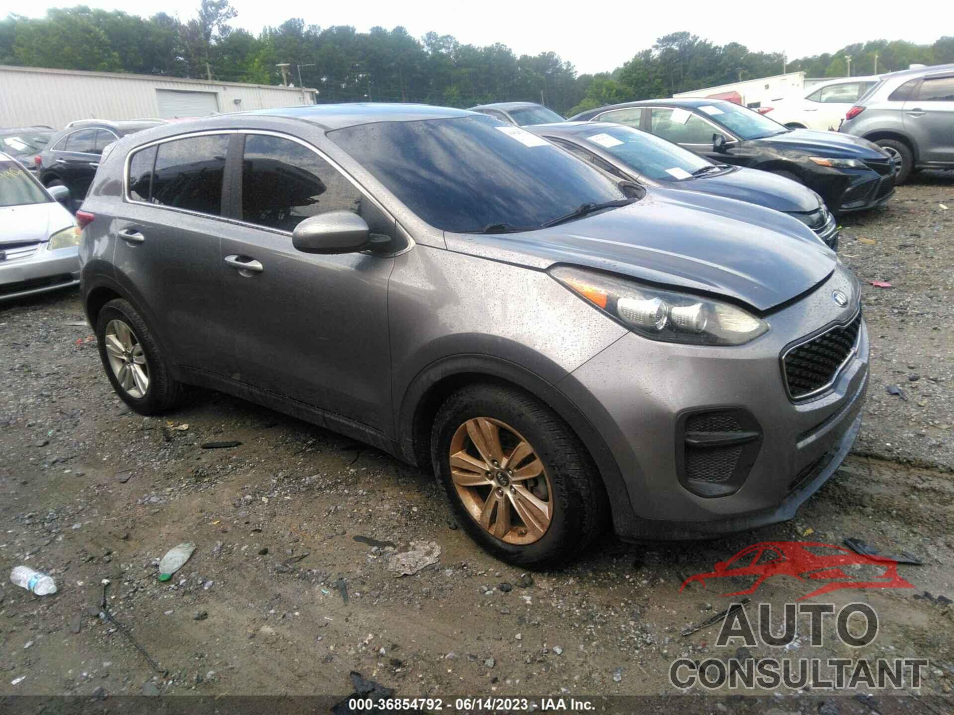 KIA SPORTAGE 2017 - KNDPM3AC8H7219725