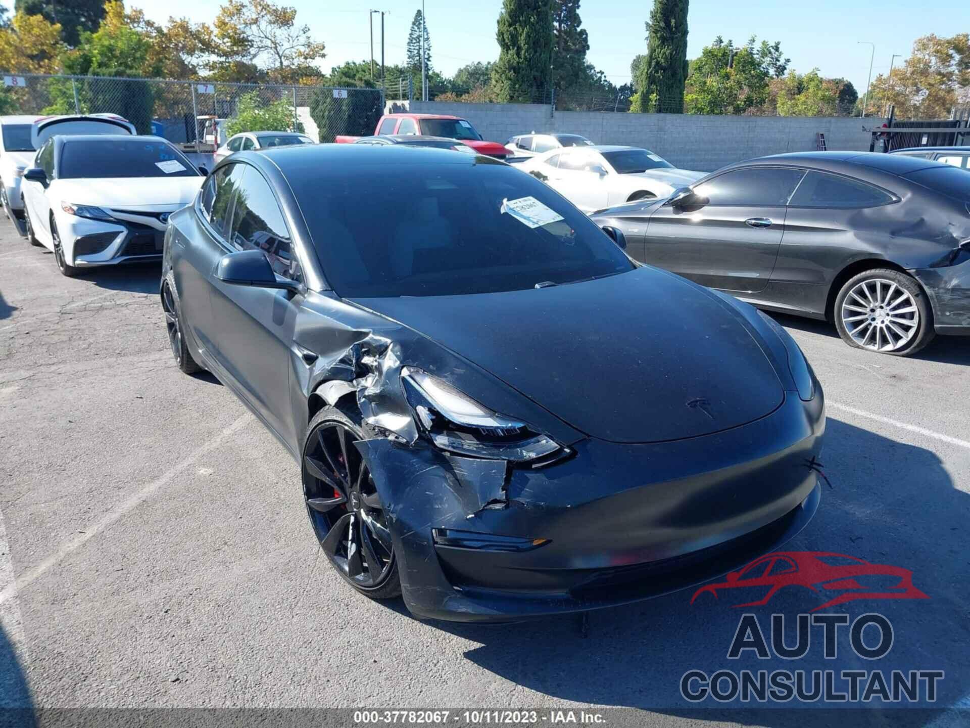 TESLA MODEL 3 2019 - 5YJ3E1EB0KF393291