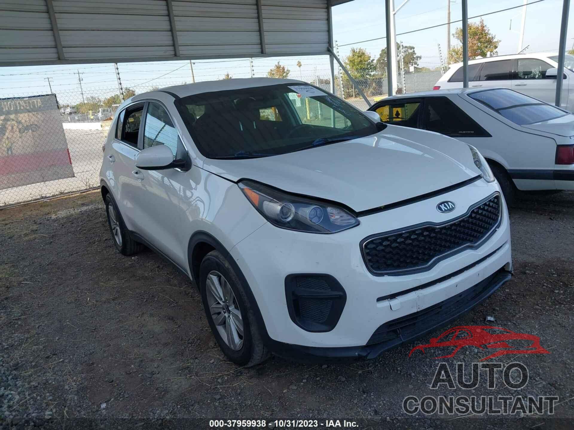 KIA SPORTAGE 2017 - KNDPM3AC1H7162767