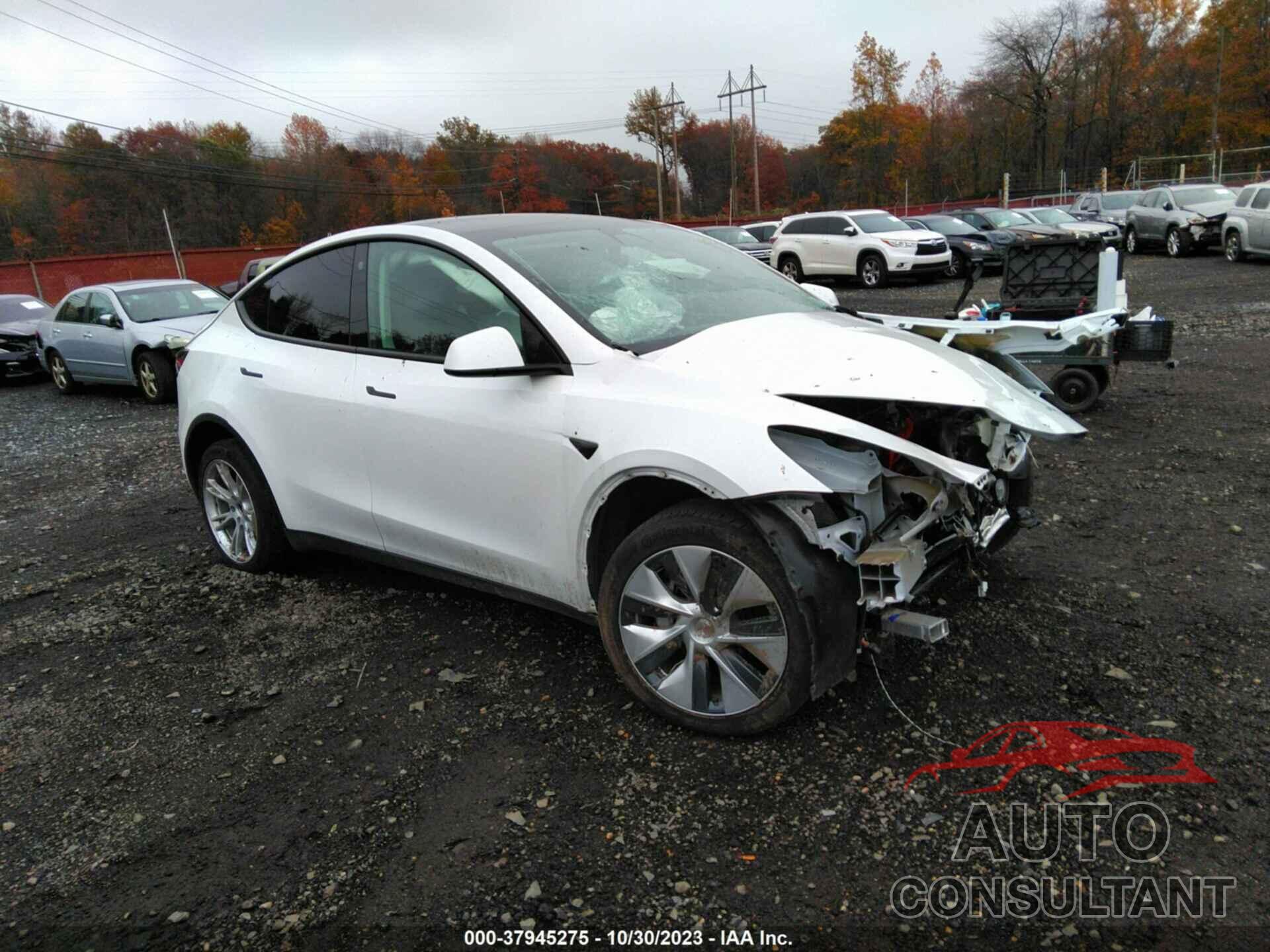 TESLA MODEL Y 2021 - 5YJYGDEE7MF114255