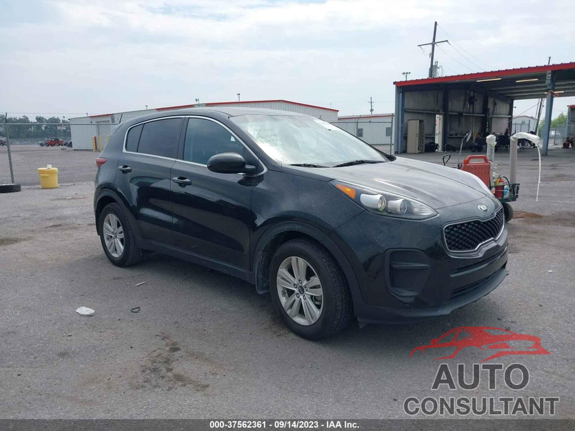 KIA SPORTAGE 2019 - KNDPM3AC5K7591658