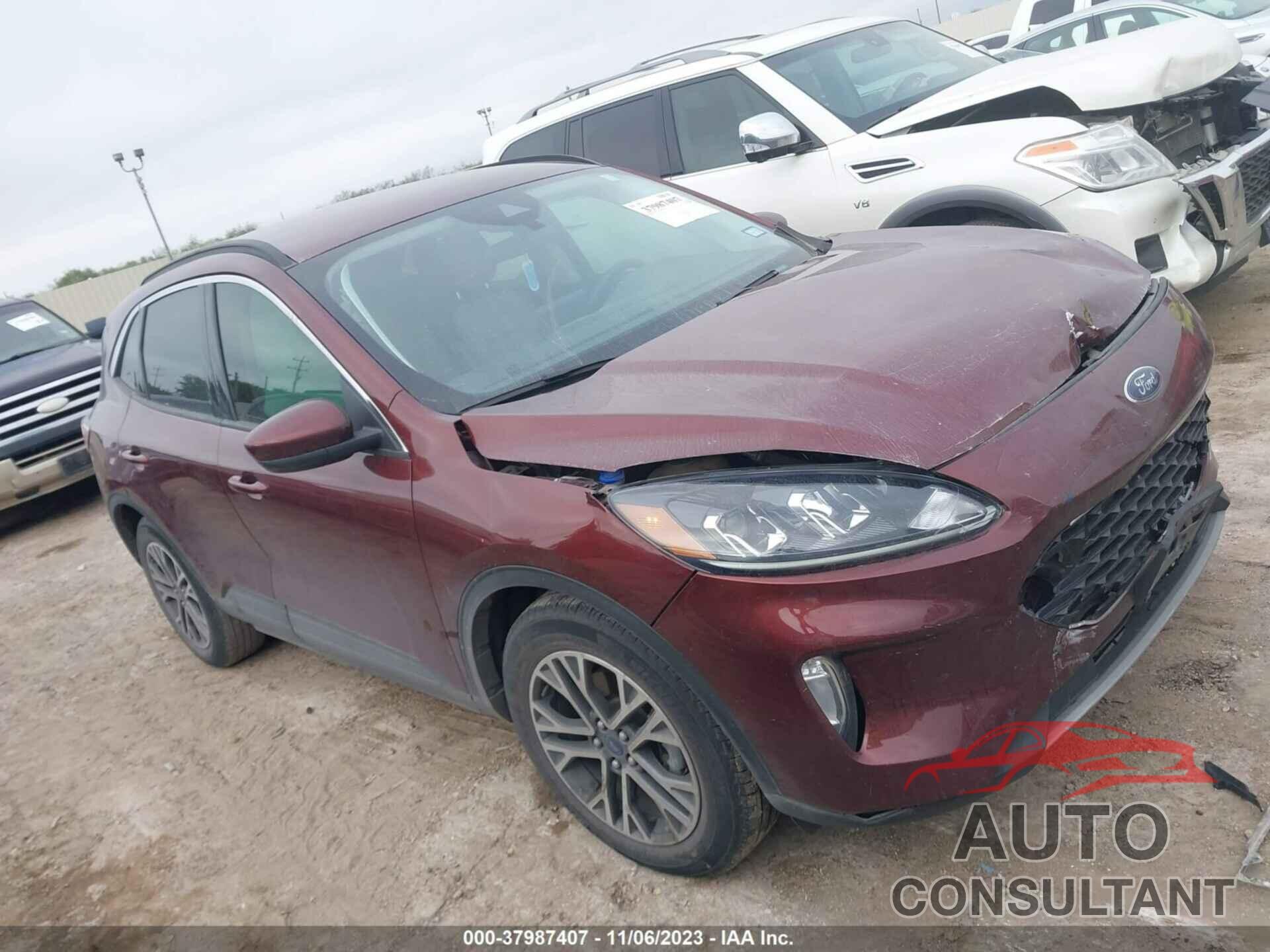 FORD ESCAPE 2021 - 1FMCU0H66MUB34743