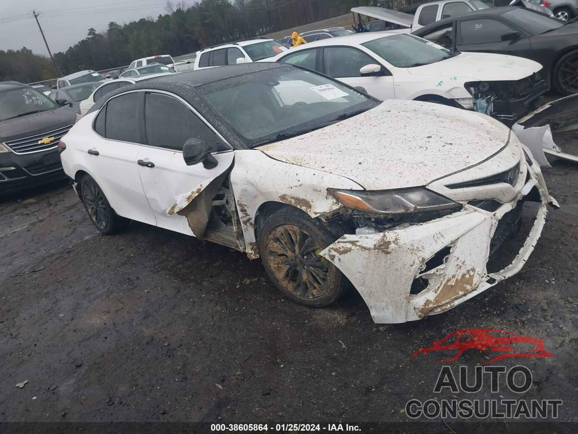 TOYOTA CAMRY 2019 - 4T1B11HK1KU755893