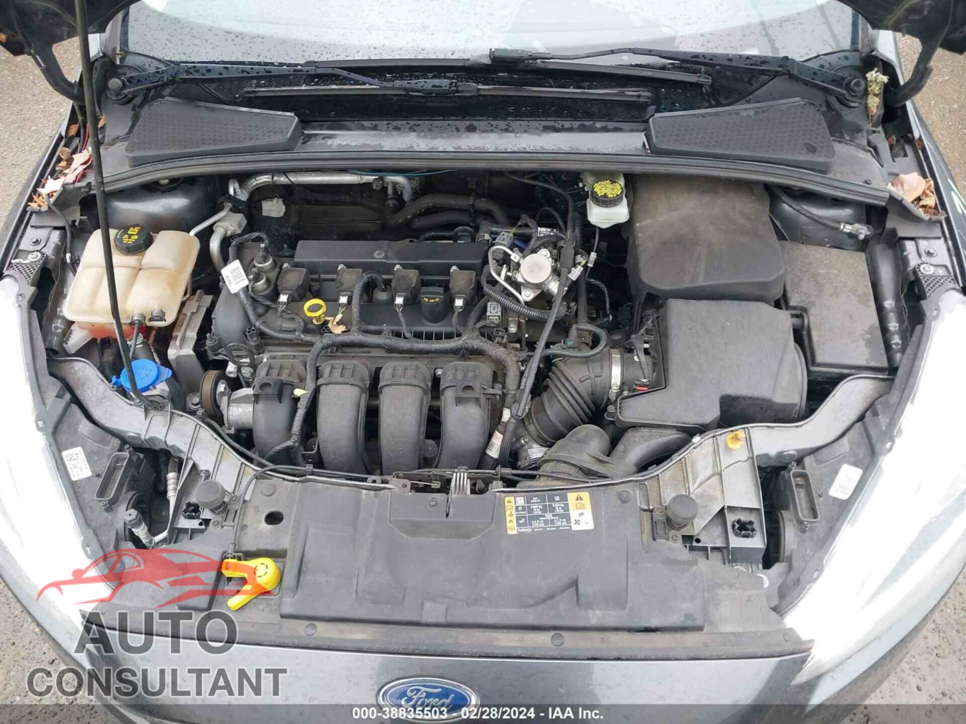 FORD FOCUS 2017 - 1FADP3F29HL304435