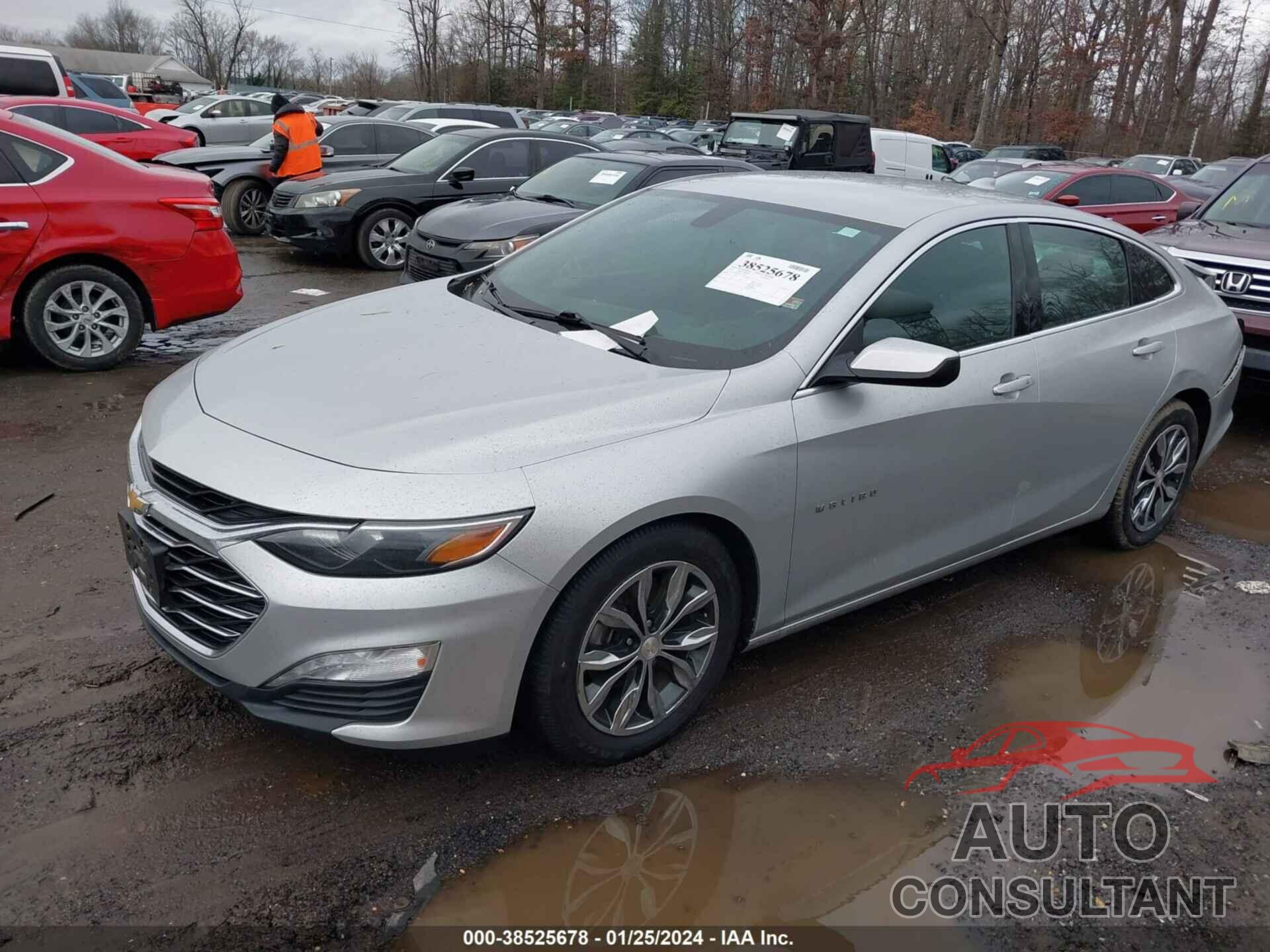 CHEVROLET MALIBU 2019 - 1G1ZD5ST9KF217846