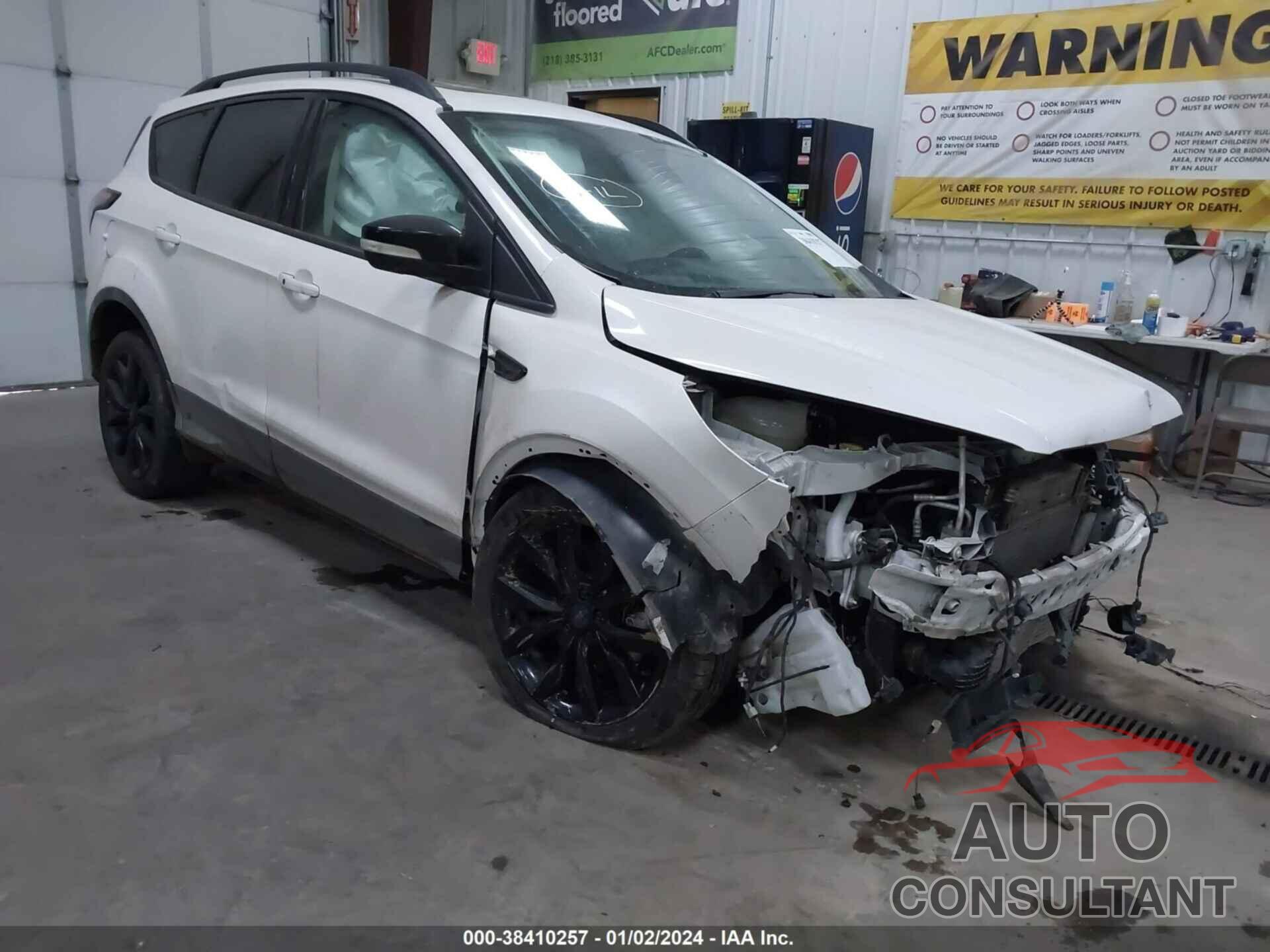 FORD ESCAPE 2017 - 1FMCU9J92HUD29575