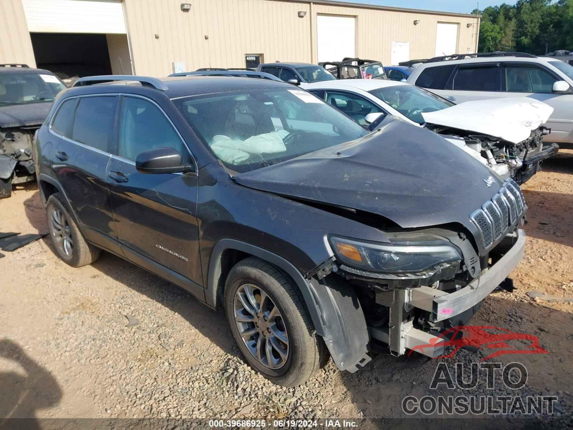 JEEP CHEROKEE 2019 - 1C4PJLLB3KD223140