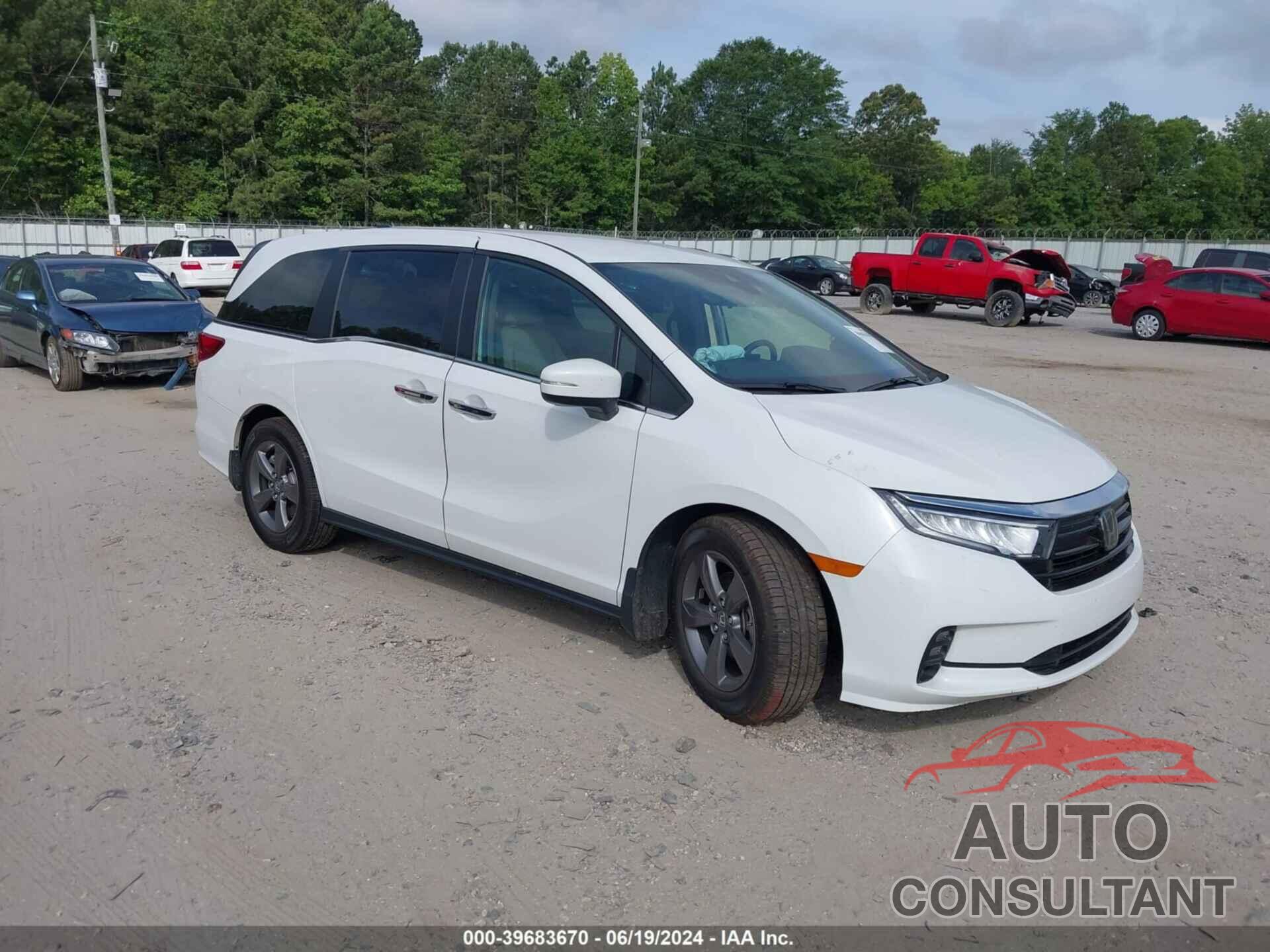 HONDA ODYSSEY 2022 - 5FNRL6H51NB003208