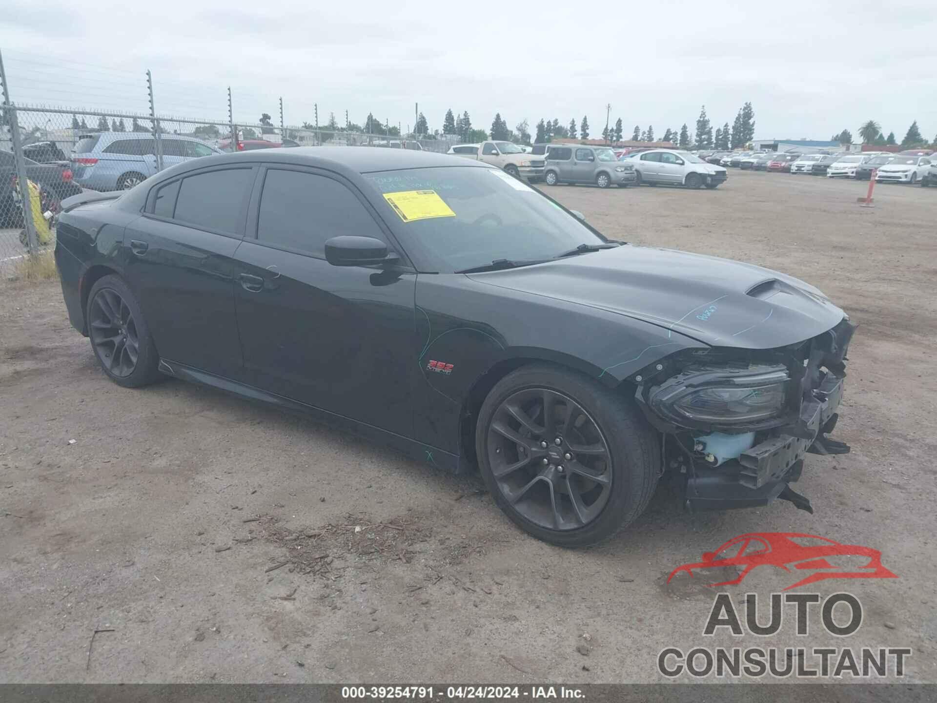 DODGE CHARGER 2021 - 2C3CDXGJ7MH535289