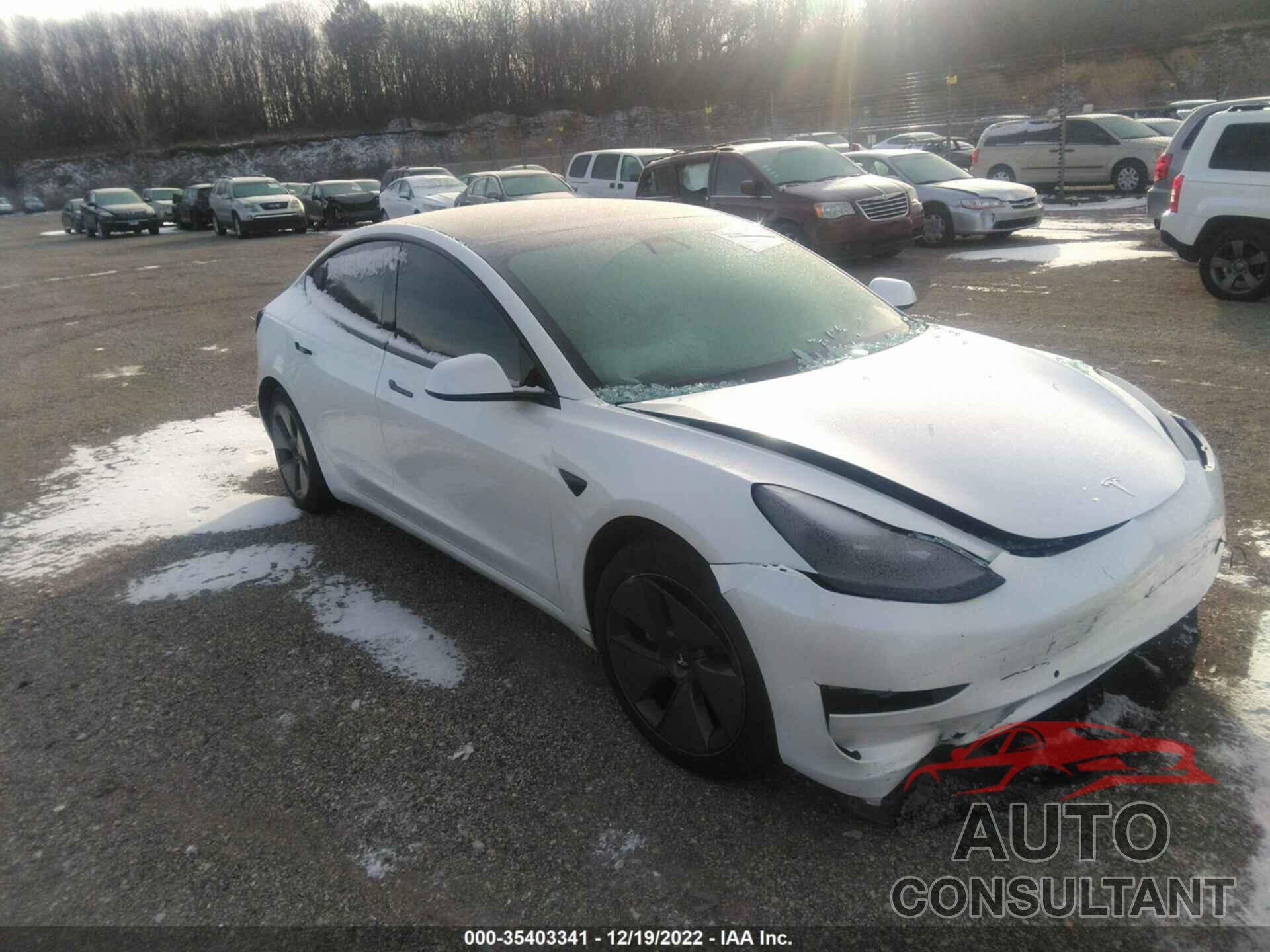 TESLA MODEL 3 2021 - 5YJ3E1EAXMF986344