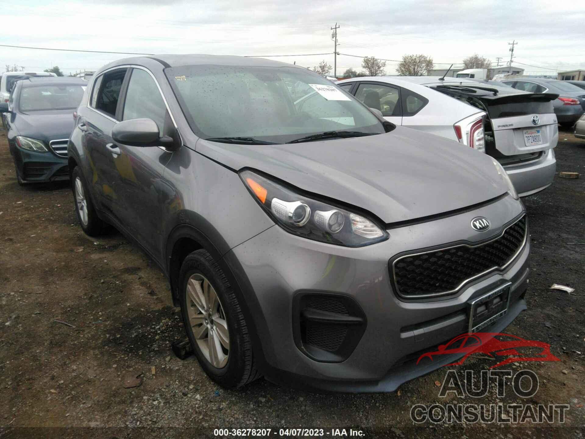 KIA SPORTAGE 2017 - KNDPM3AC4H7149818