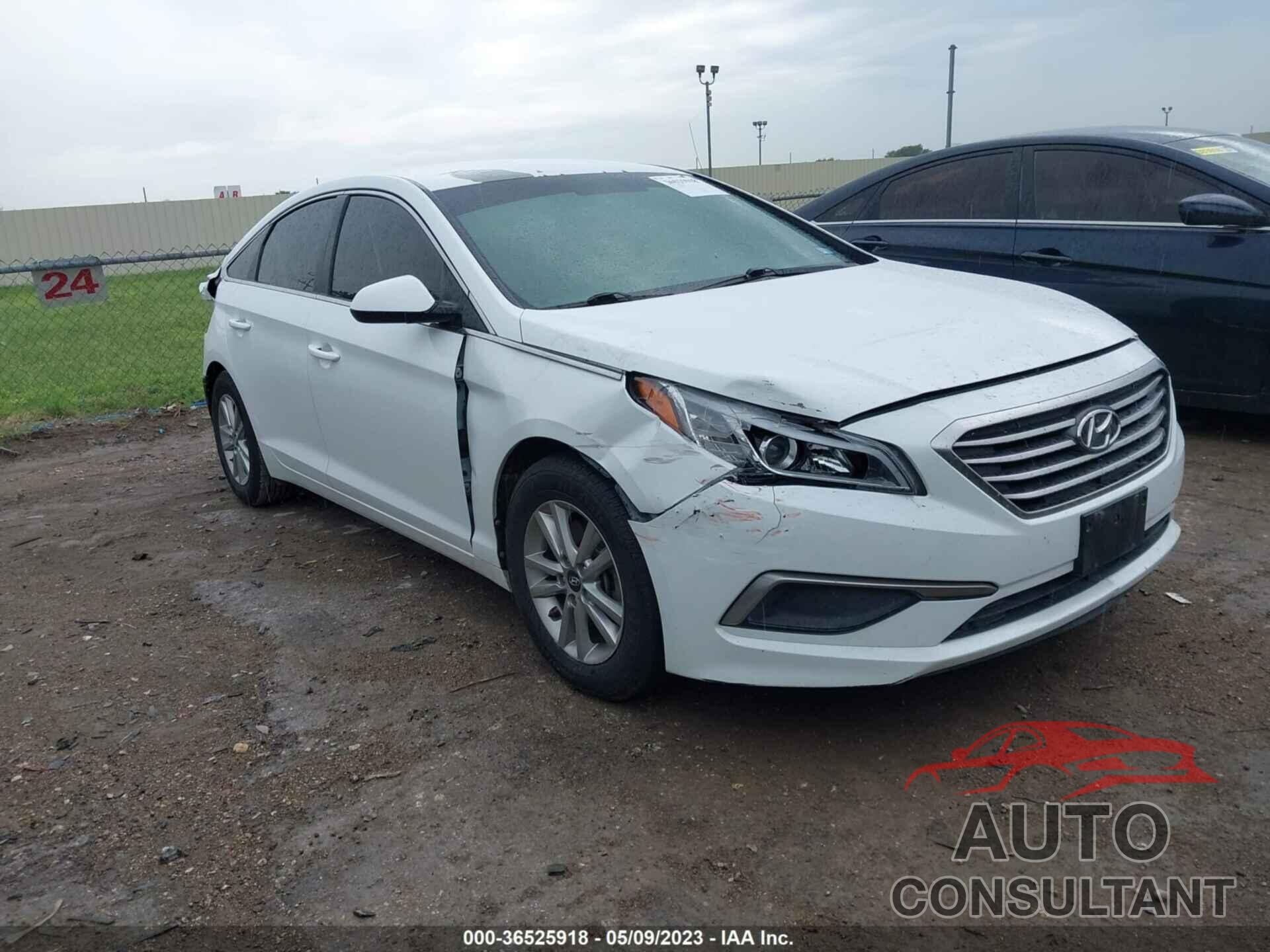 HYUNDAI SONATA 2016 - 5NPE24AF7GH368294