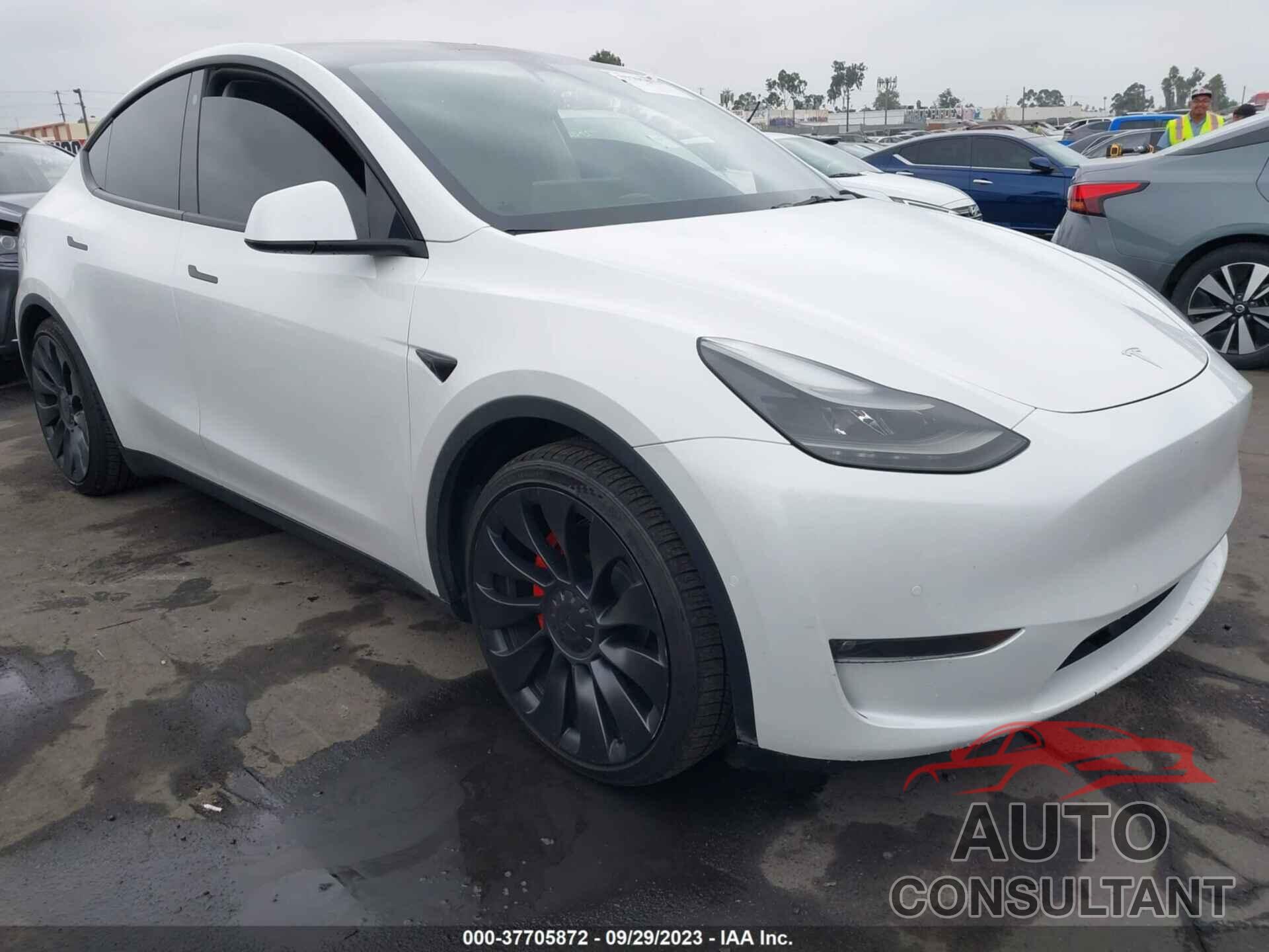TESLA MODEL Y 2022 - 7SAYGDEF9NF554572