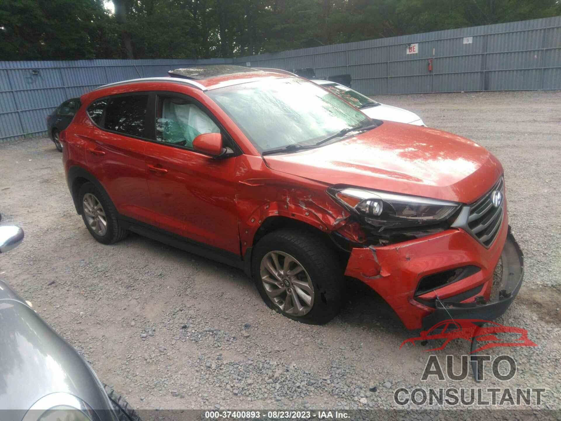 HYUNDAI TUCSON 2016 - KM8J33A43GU025567