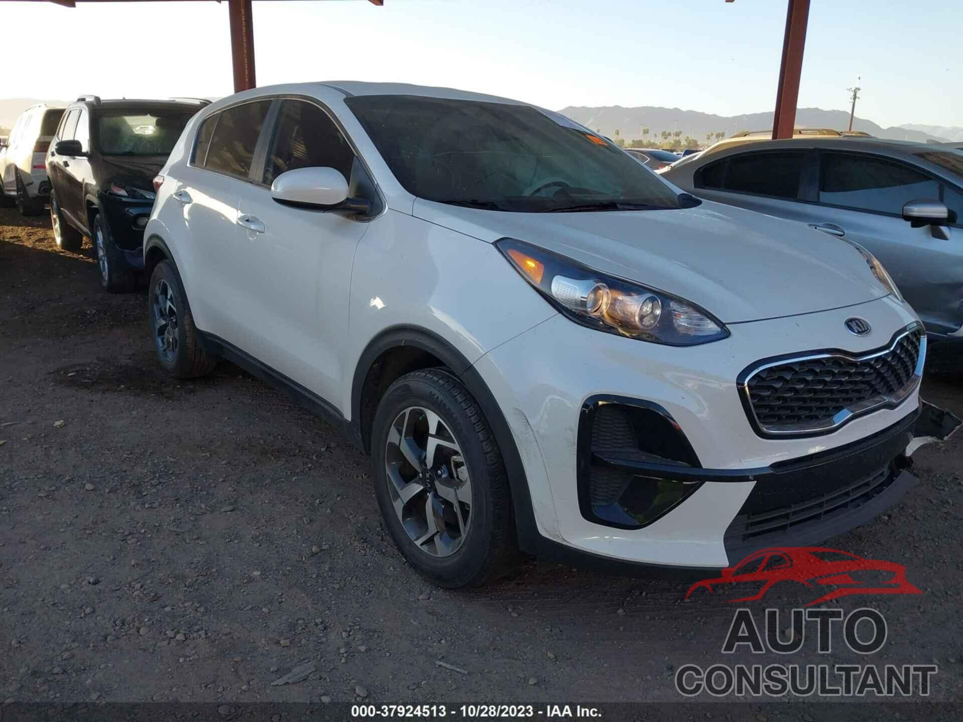 KIA SPORTAGE 2022 - KNDPM3AC5N7006856