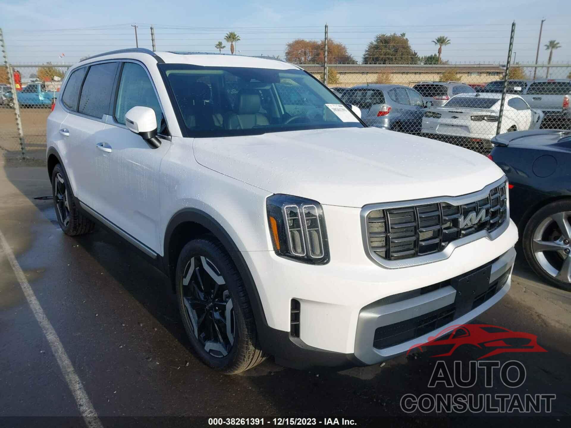 KIA TELLURIDE 2024 - 5XYP6DGC6RG431938