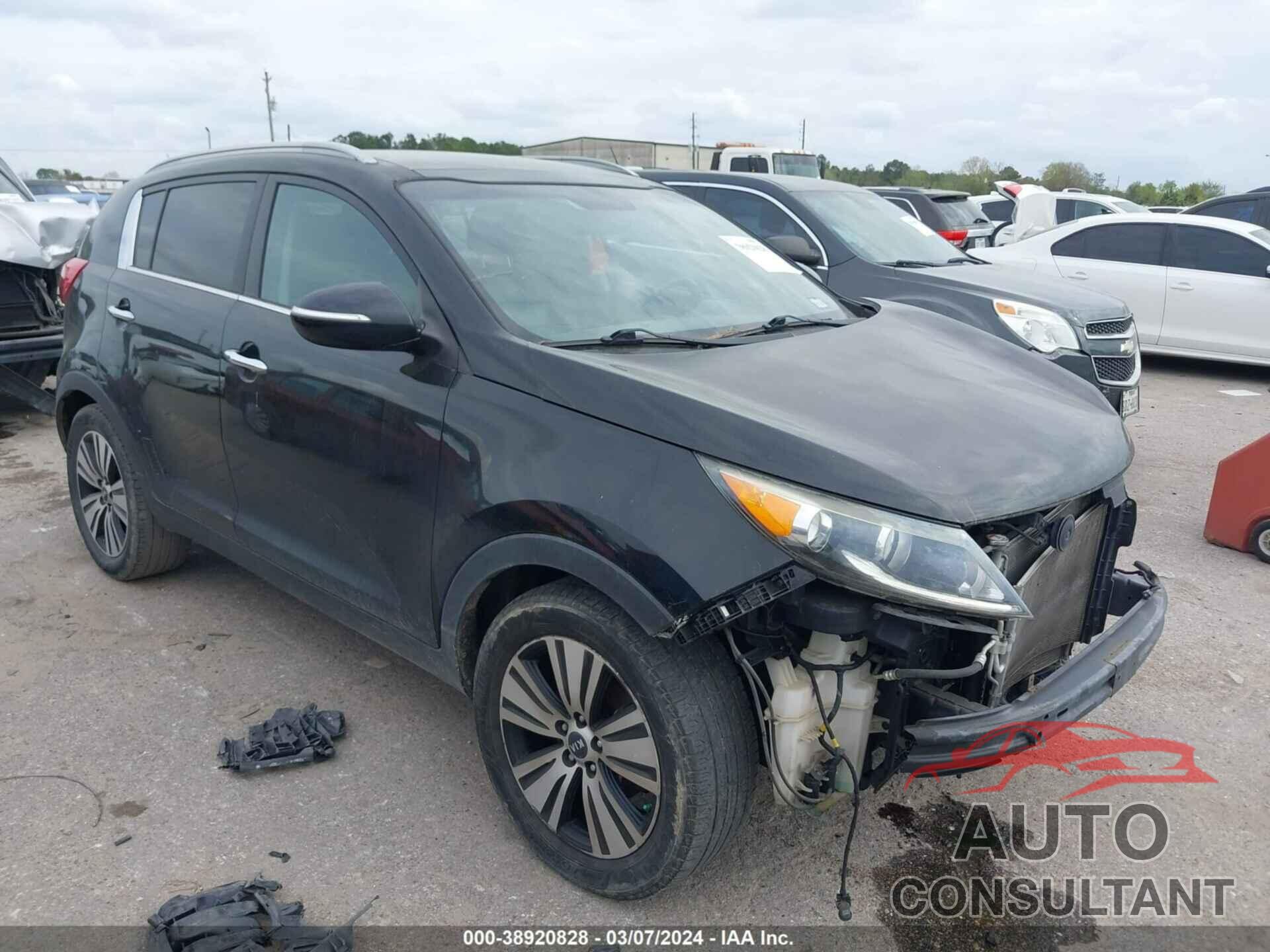 KIA SPORTAGE 2016 - KNDPC3AC2G7869054