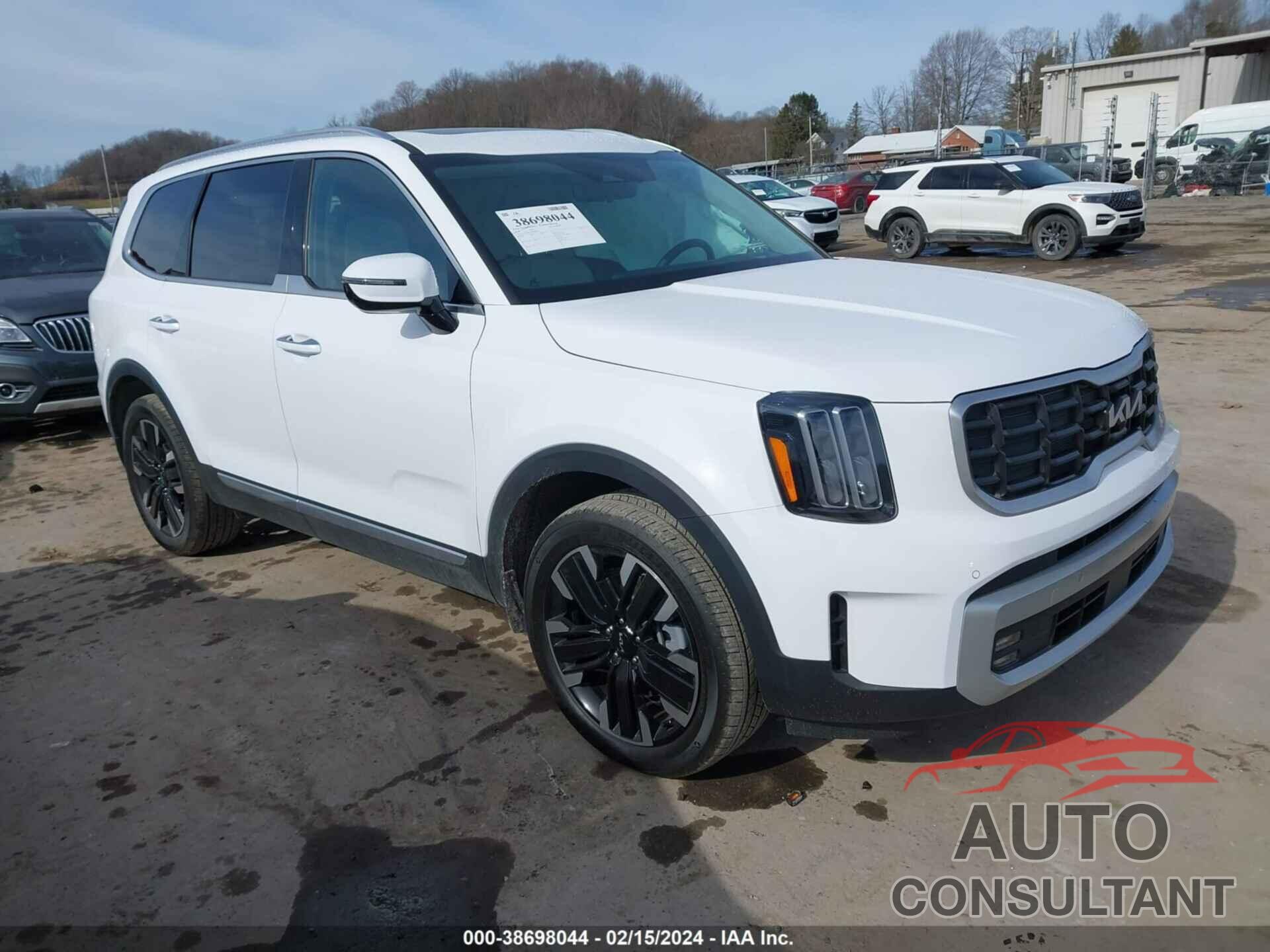 KIA TELLURIDE 2024 - 5XYP5DGC9RG480991