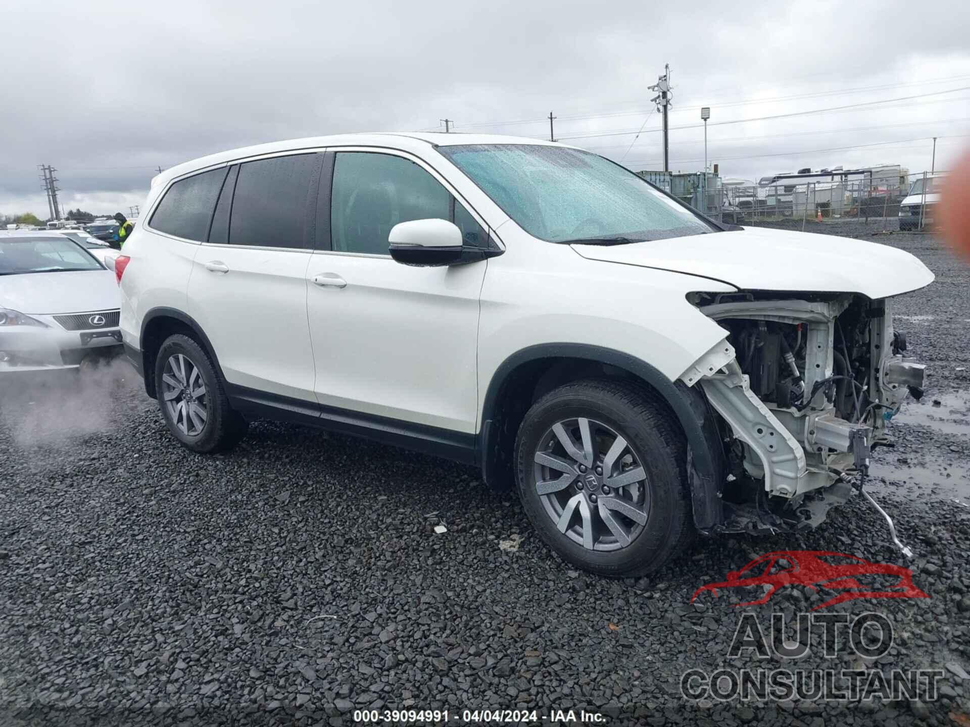 HONDA PILOT 2019 - 5FNYF6H55KB040308