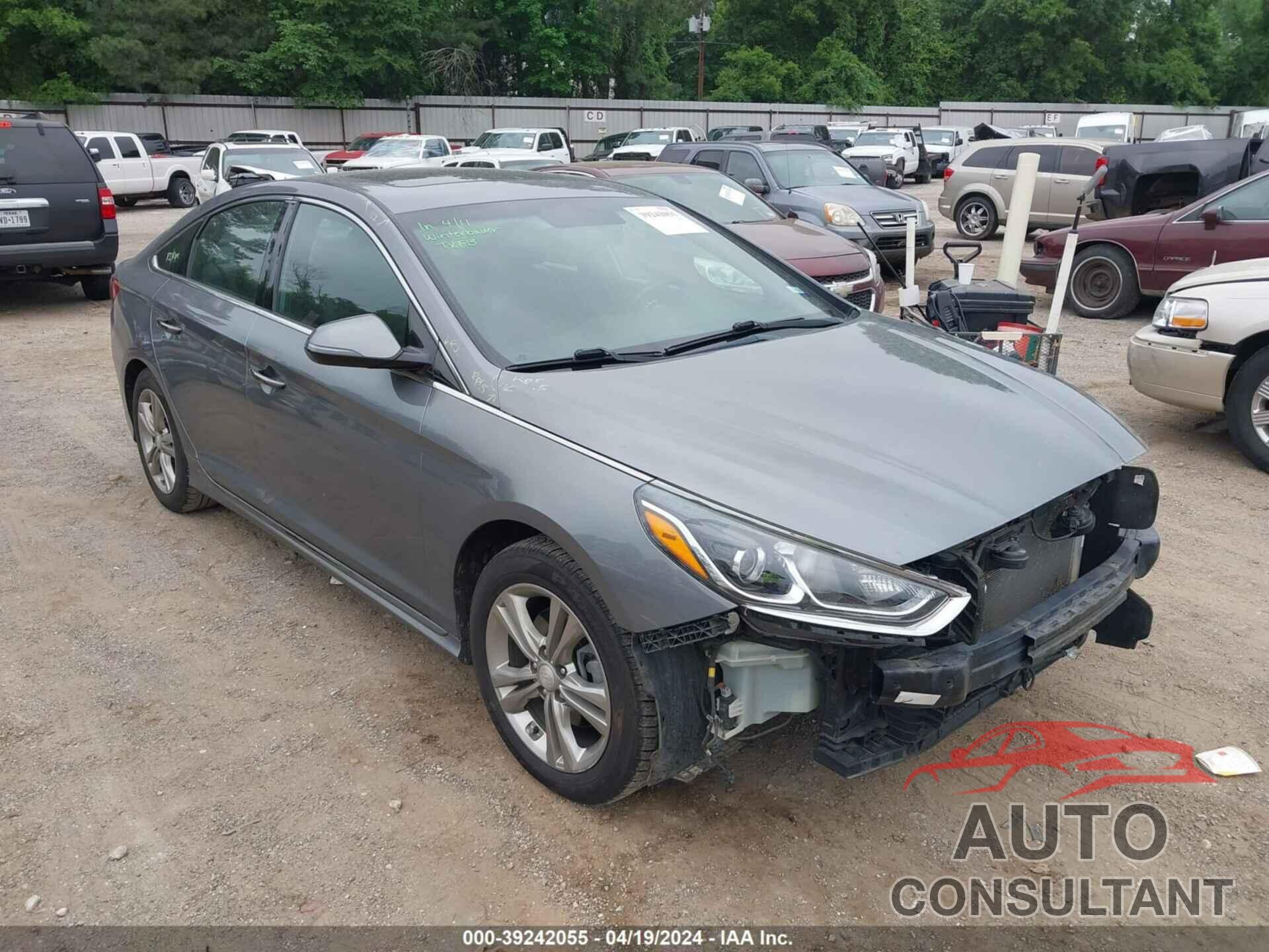 HYUNDAI SONATA 2019 - 5NPE34AF1KH741870