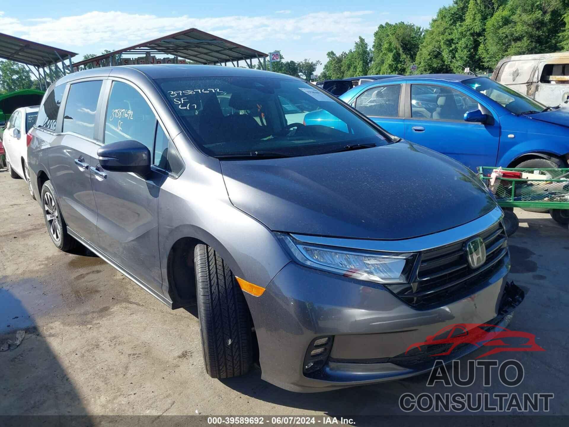 HONDA ODYSSEY 2024 - 5FNRL6H66RB049812