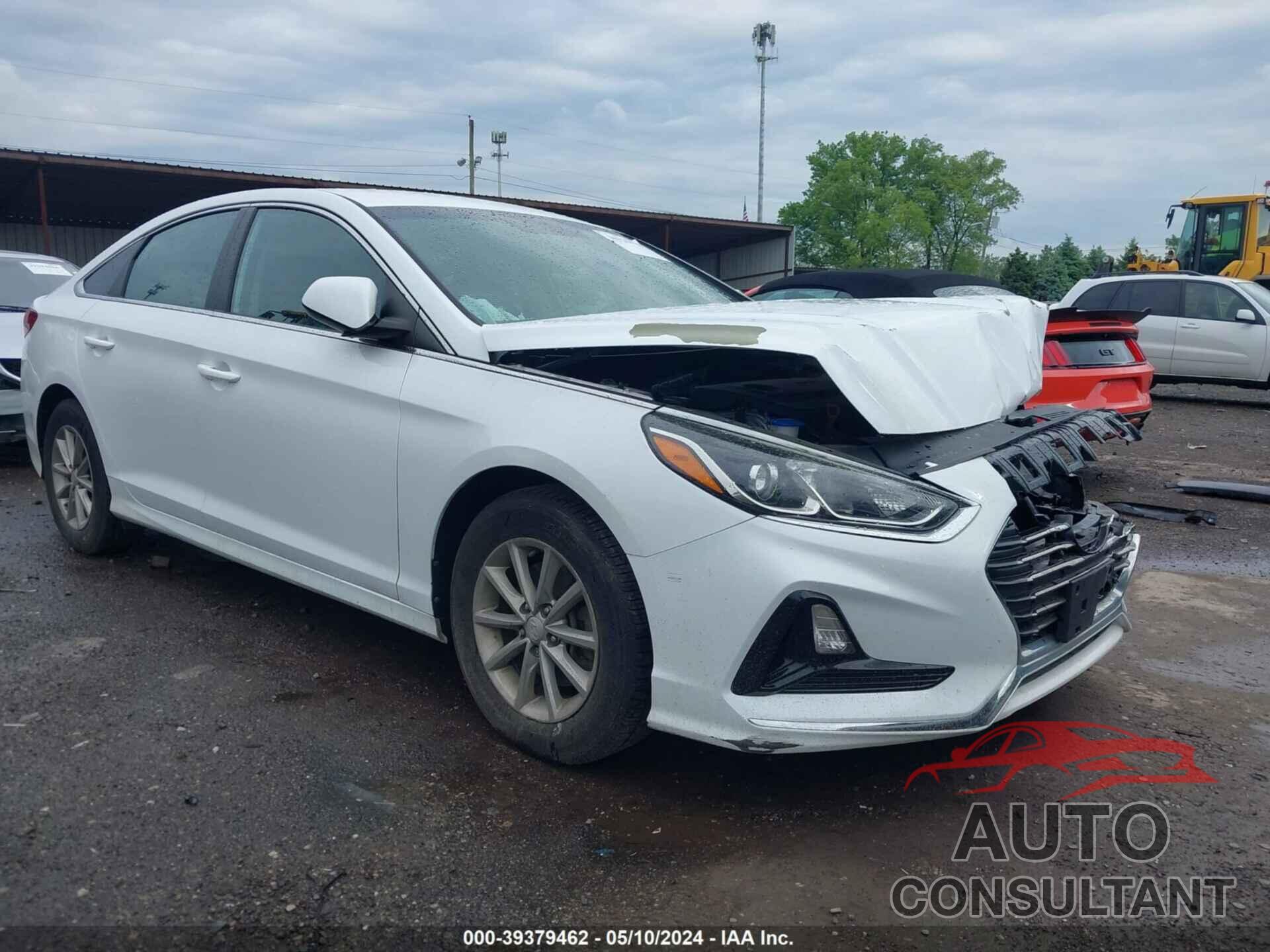 HYUNDAI SONATA 2019 - 5NPE24AF0KH731818