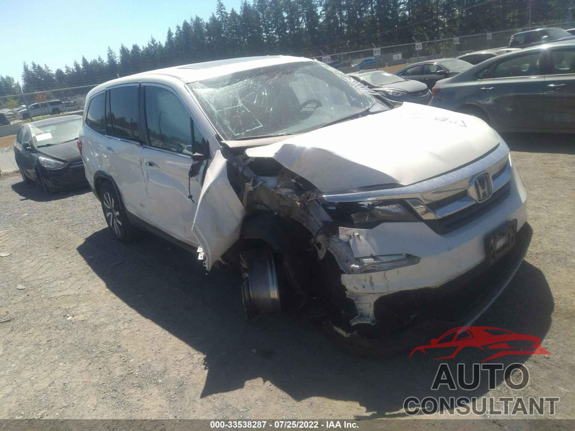 HONDA PILOT 2019 - 5FNYF6H53KB062212