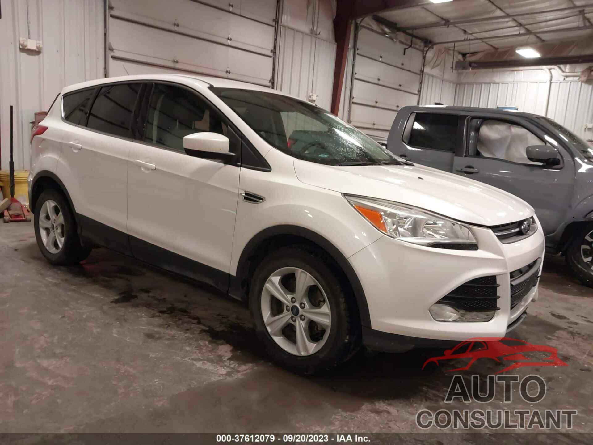 FORD ESCAPE 2016 - 1FMCU0GX9GUA98092