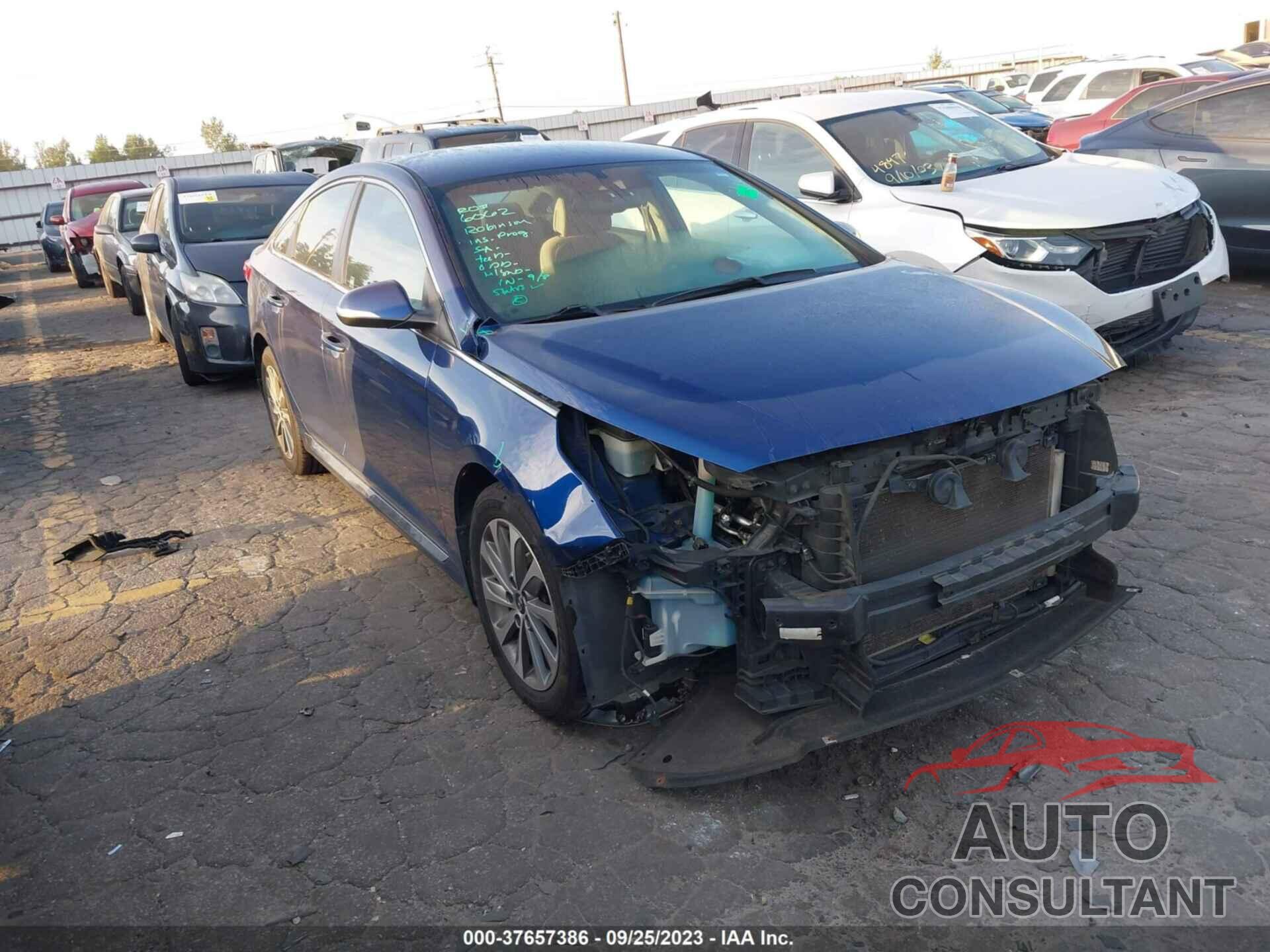 HYUNDAI SONATA 2017 - 5NPE34AF7HH460973