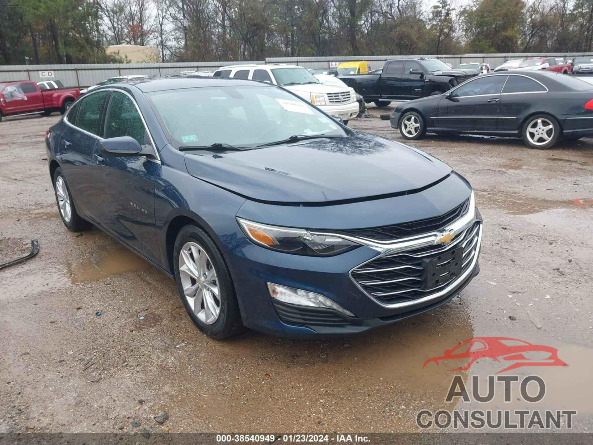 CHEVROLET MALIBU 2022 - 1G1ZD5STXNF171898