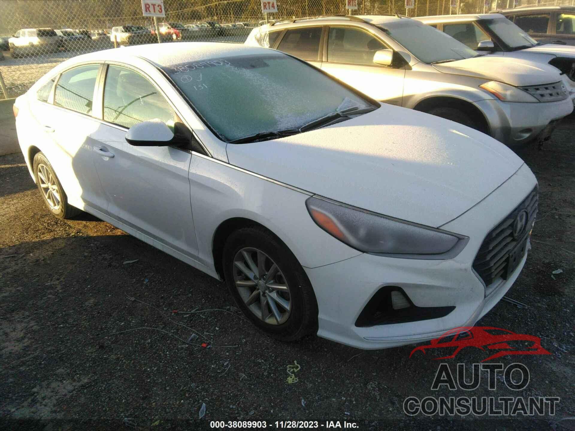 HYUNDAI SONATA 2019 - 5NPE24AFXKH756256