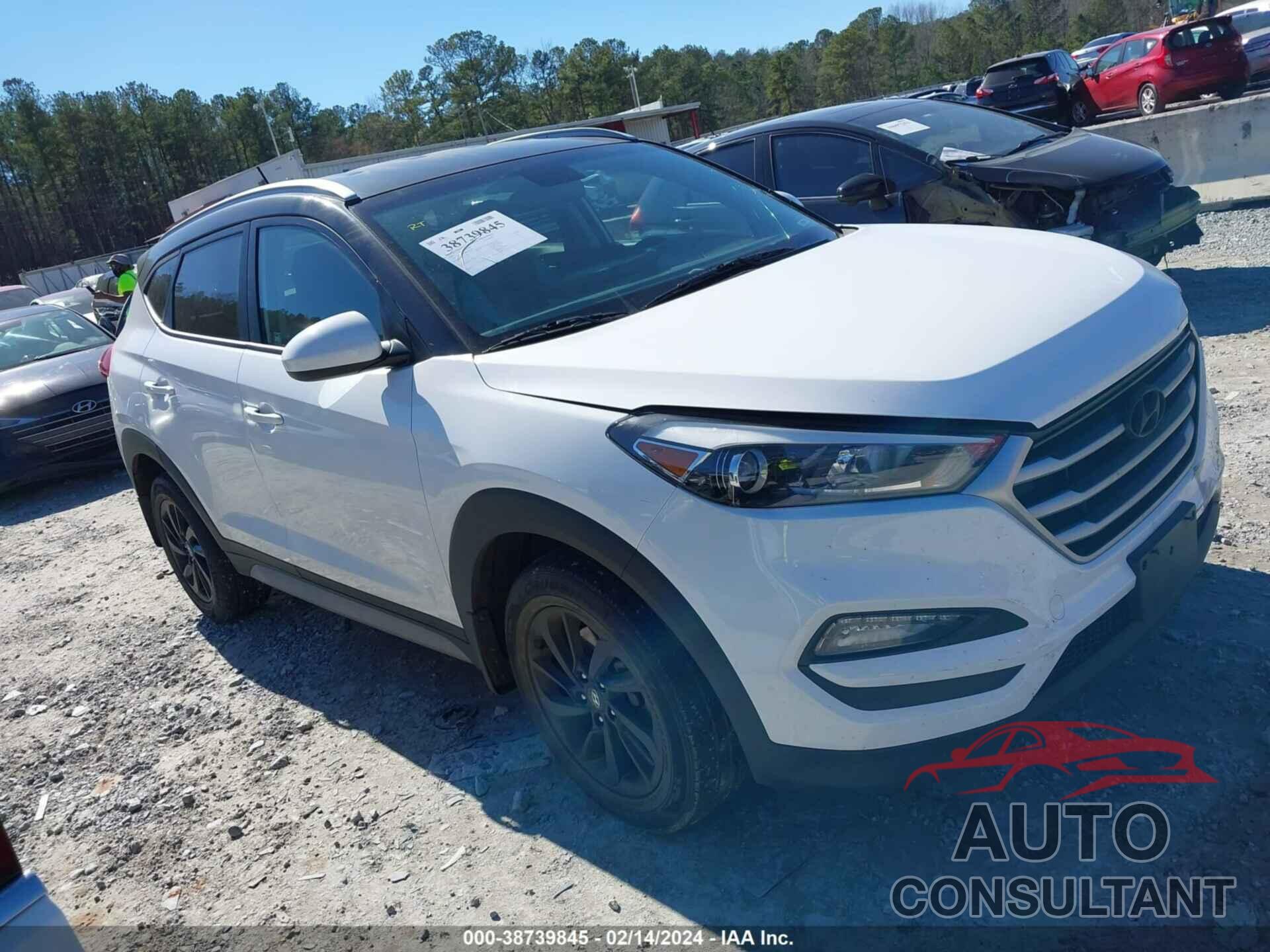 HYUNDAI TUCSON 2017 - KM8J33A44HU414607